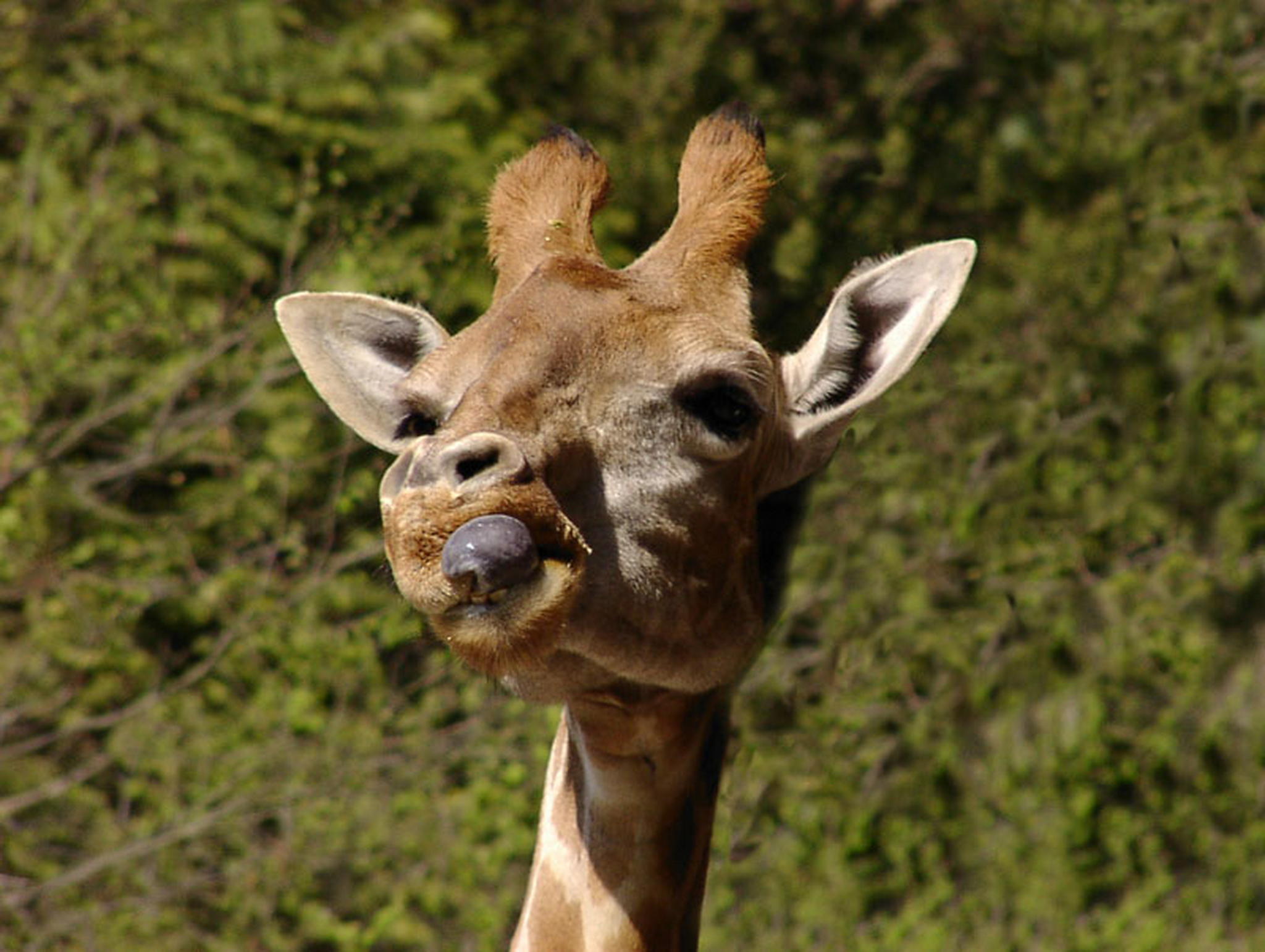 Mama schau mal die macht bh zu mir 6013682570 o