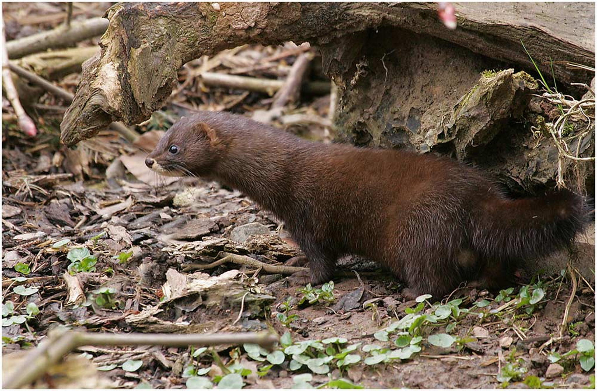 Manche damen legen sich sowas immer noch um den hals 6010385731 o