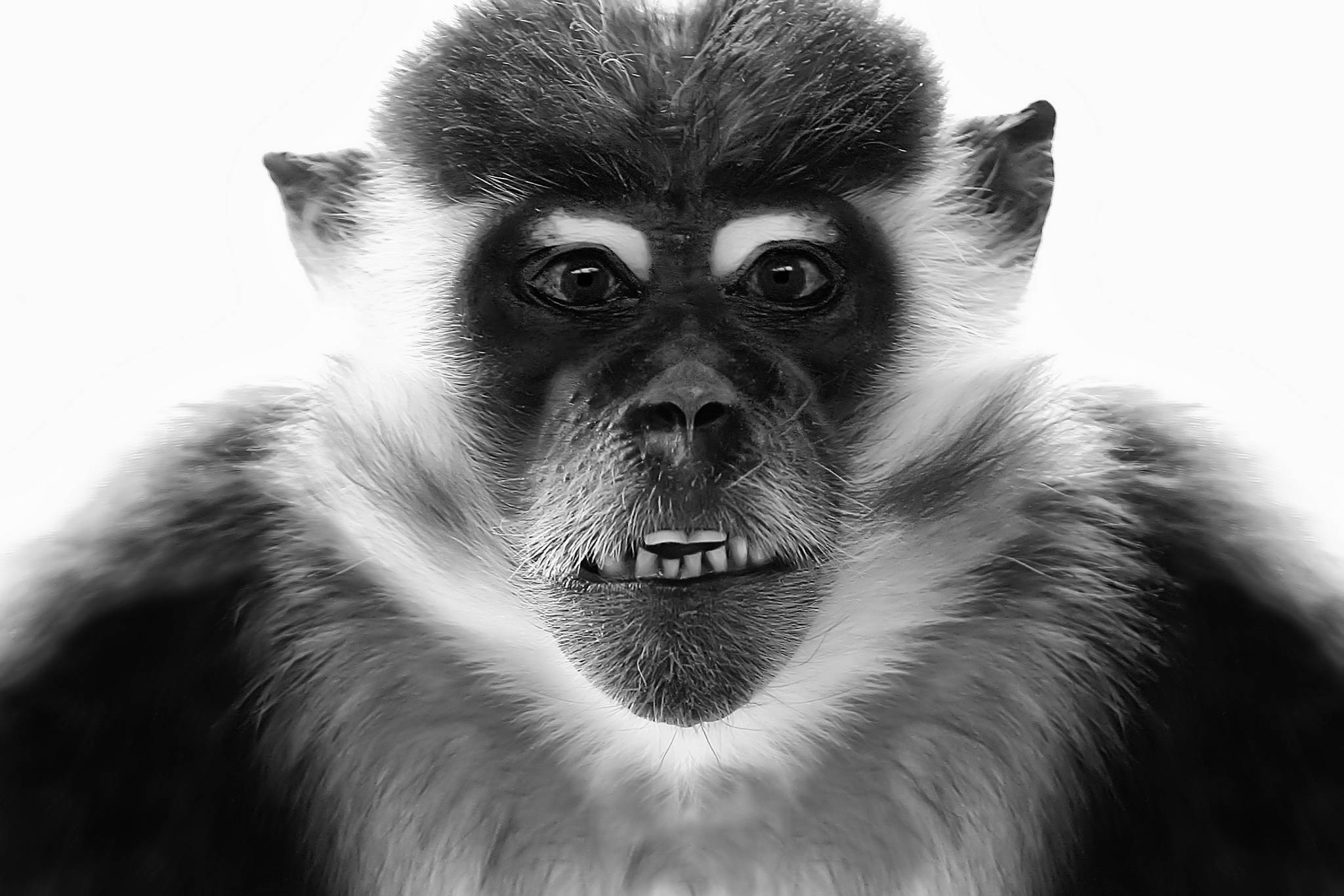 2004 03 07    112_1249 6614bsw2