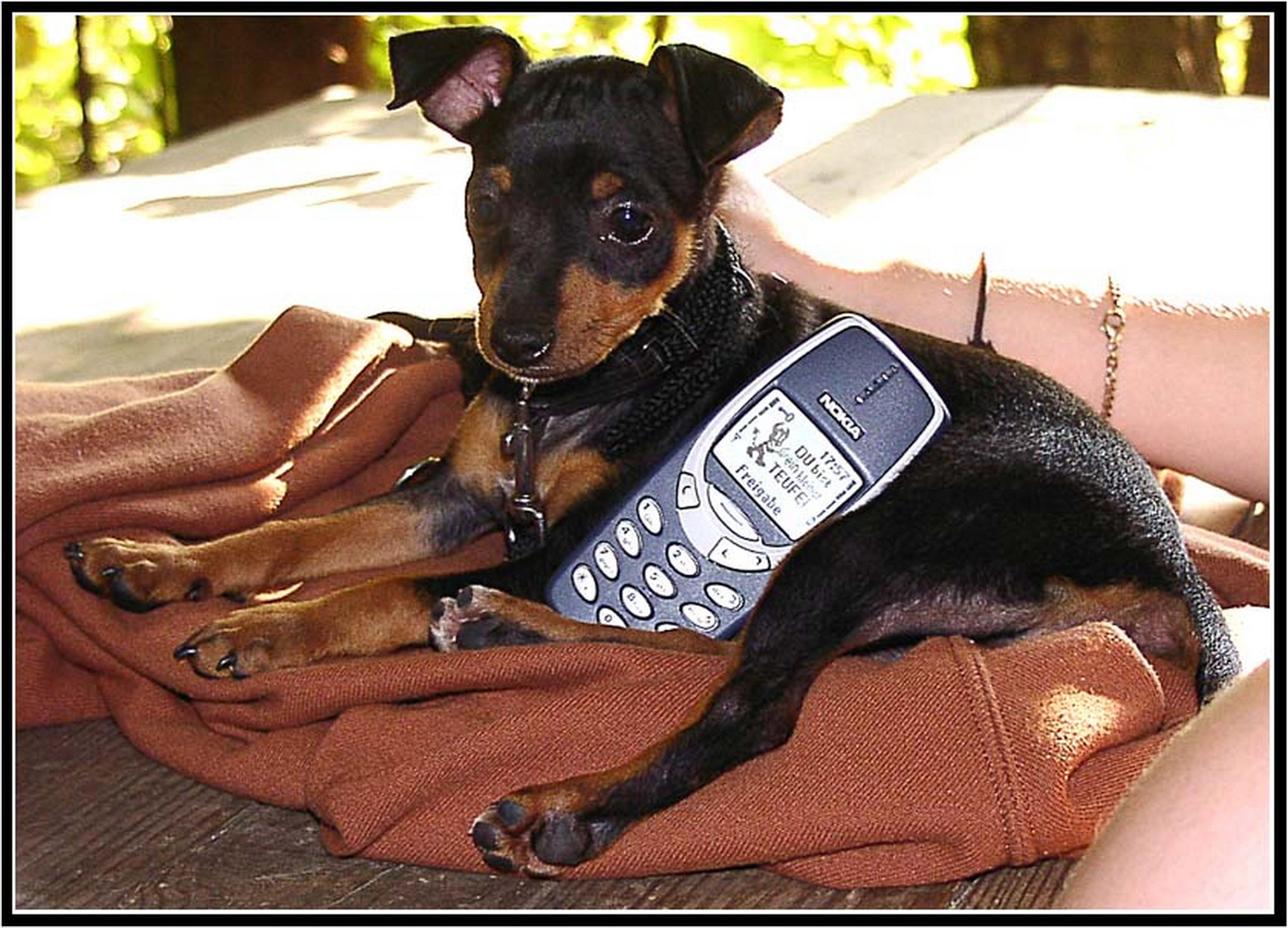 Meine tochter hat einen neuen handyhalter 6013686410 o