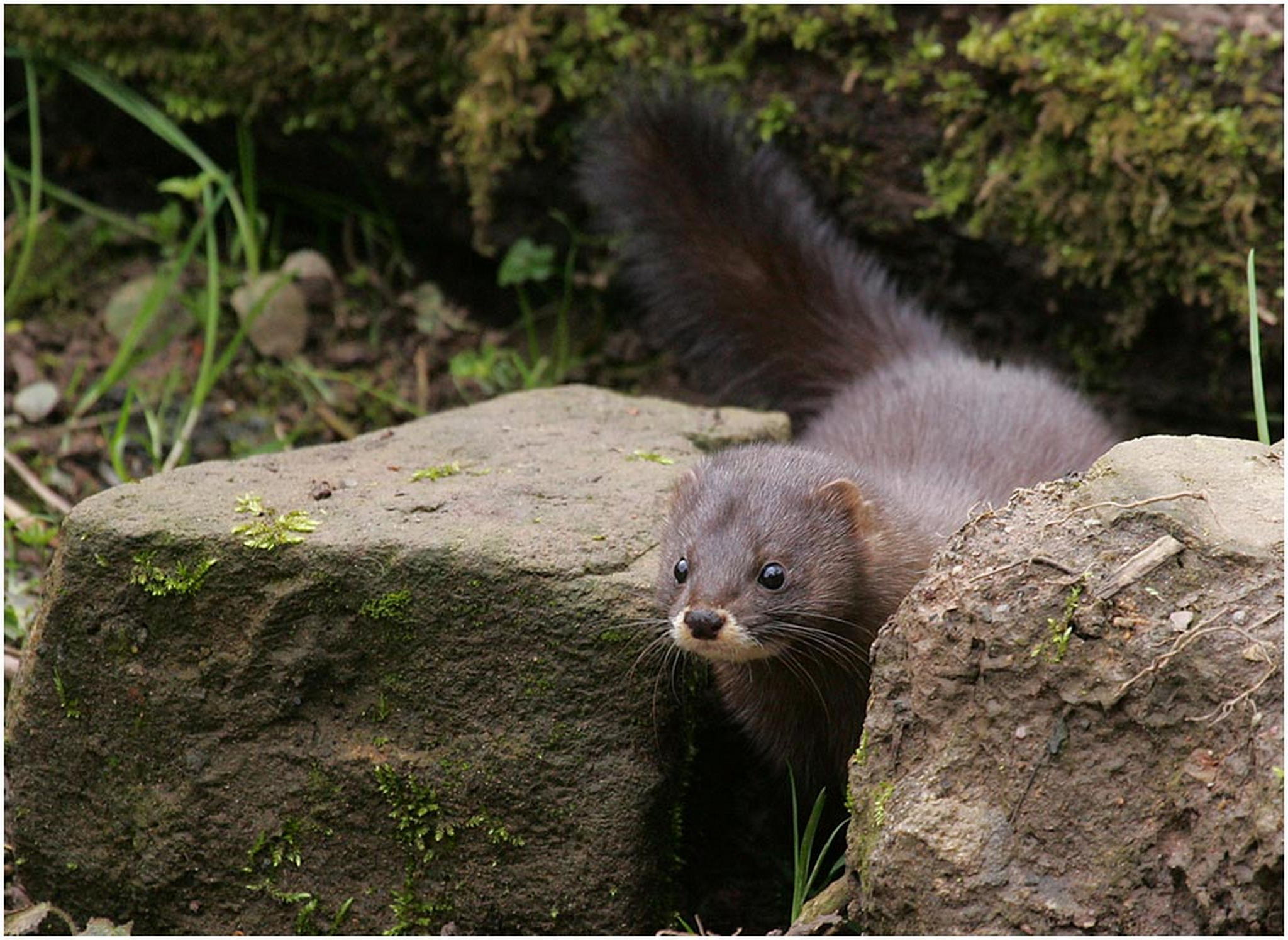 Nerzlichen dank frs stillsitzen 6010934348 o