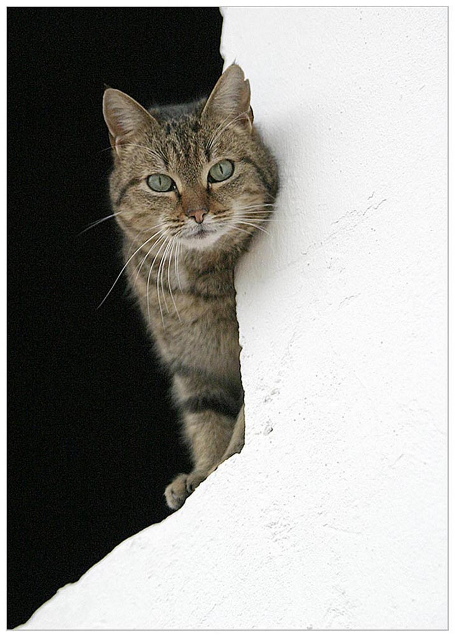 Neugierde 6010823613 o