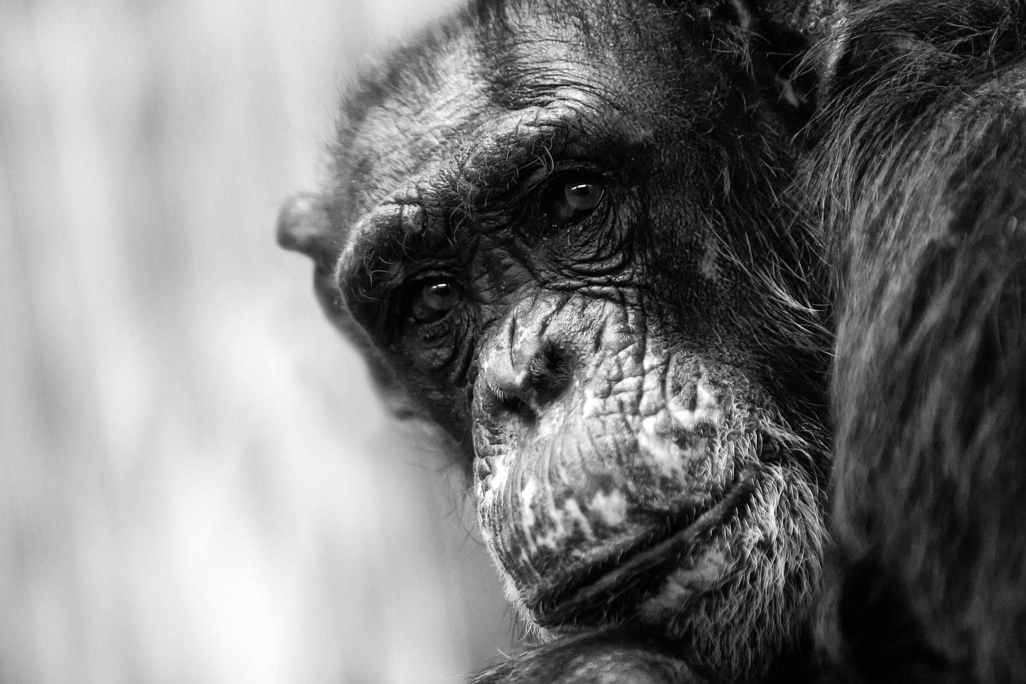 2004 12 26    IMG_4954a