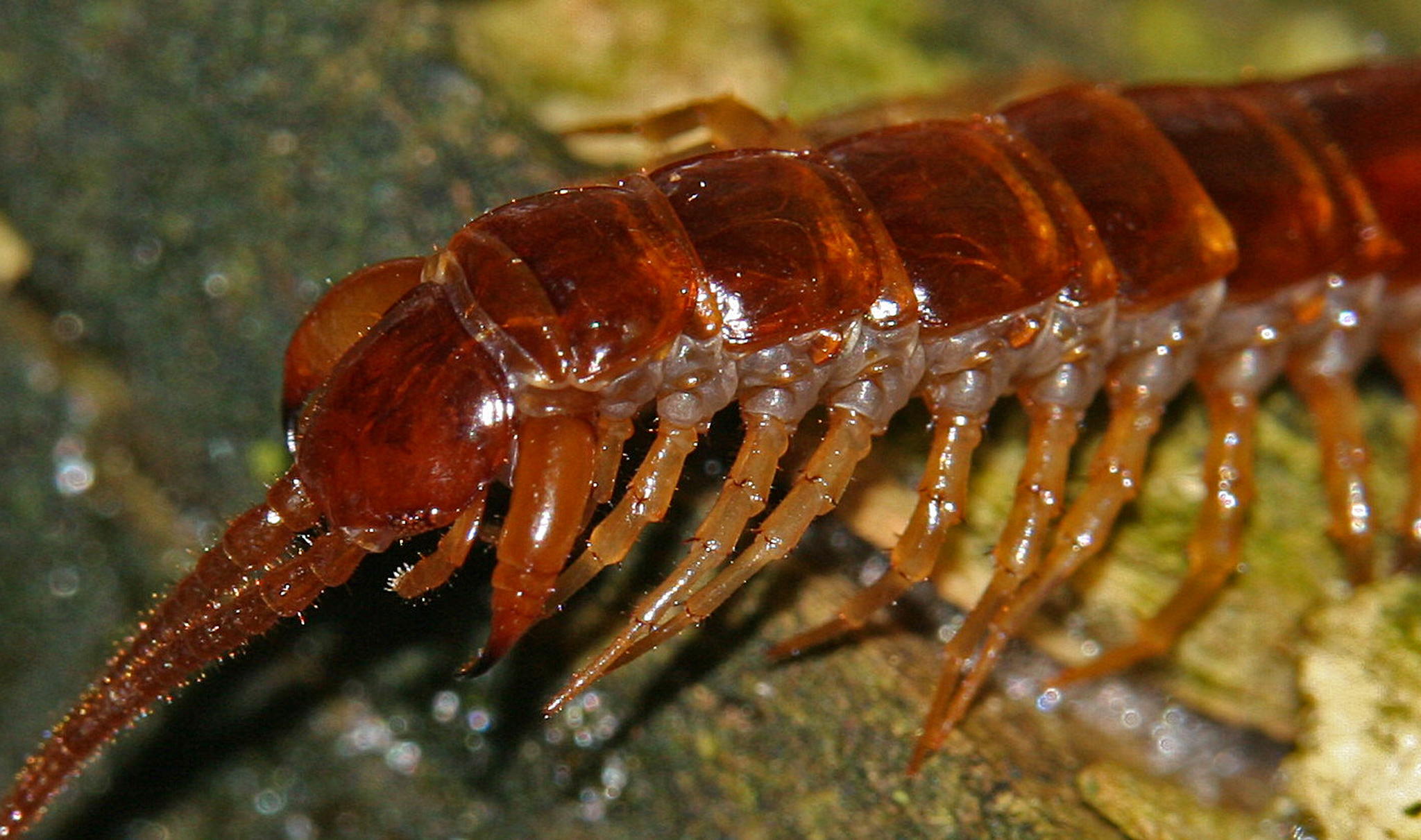 Portrait 40967387482 o