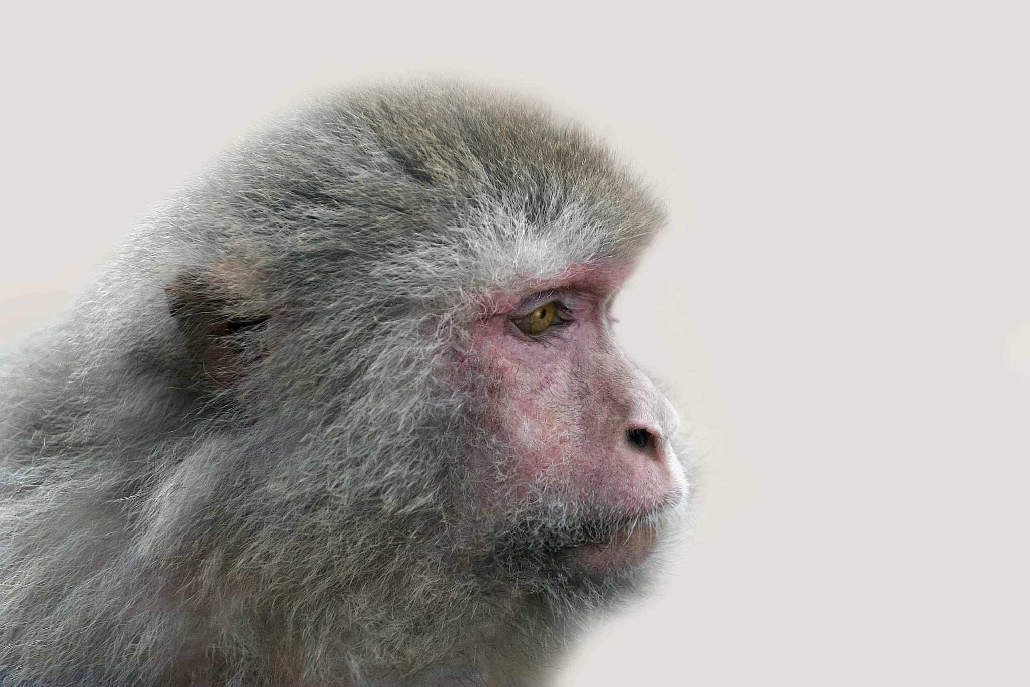 2005 03 25    IMG_3767a