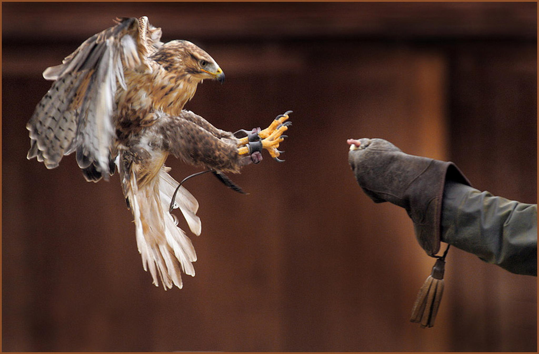 Punktlandung 6010389547 o