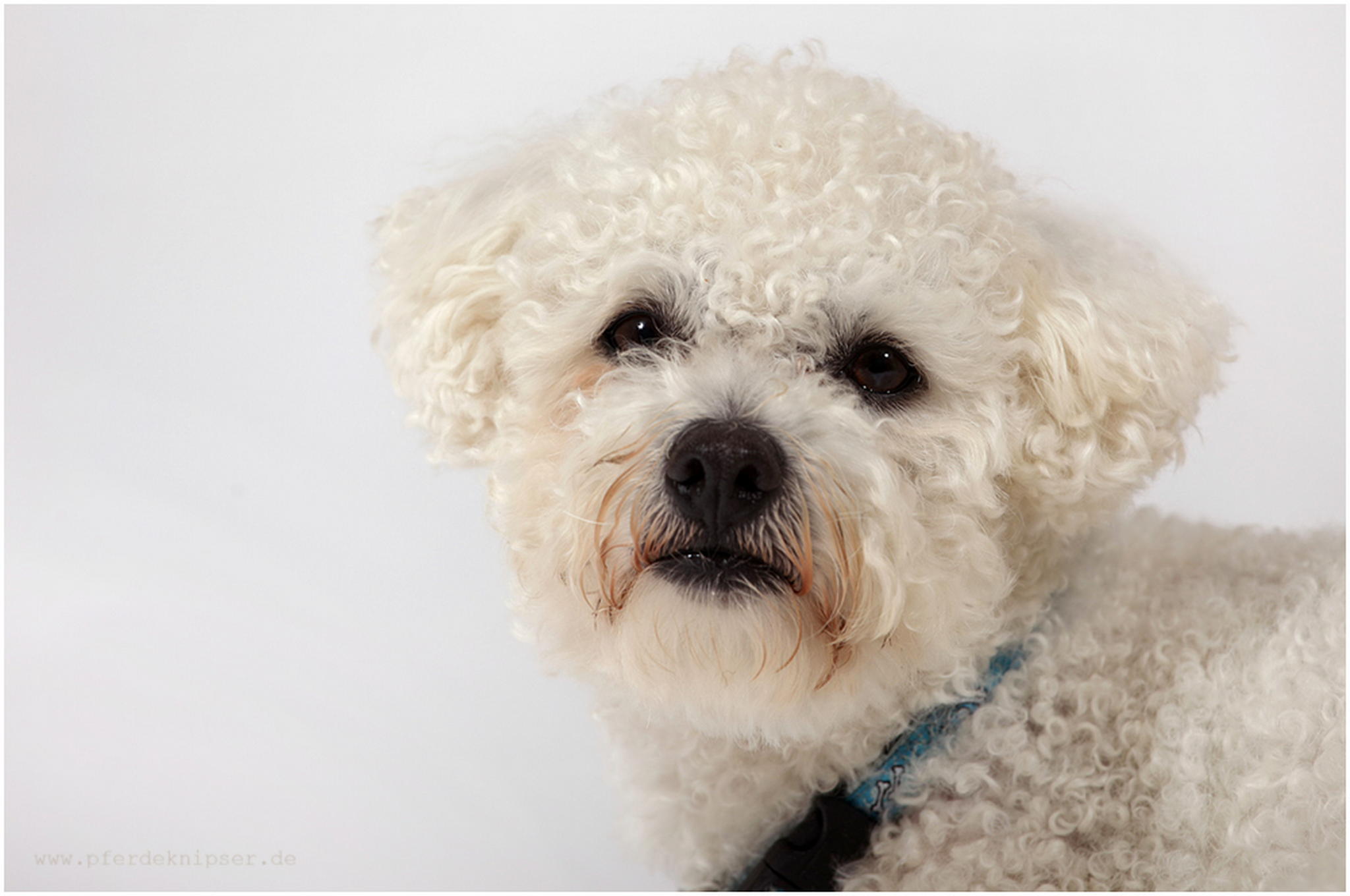 Quinzie schaut dich an 6010462461 o