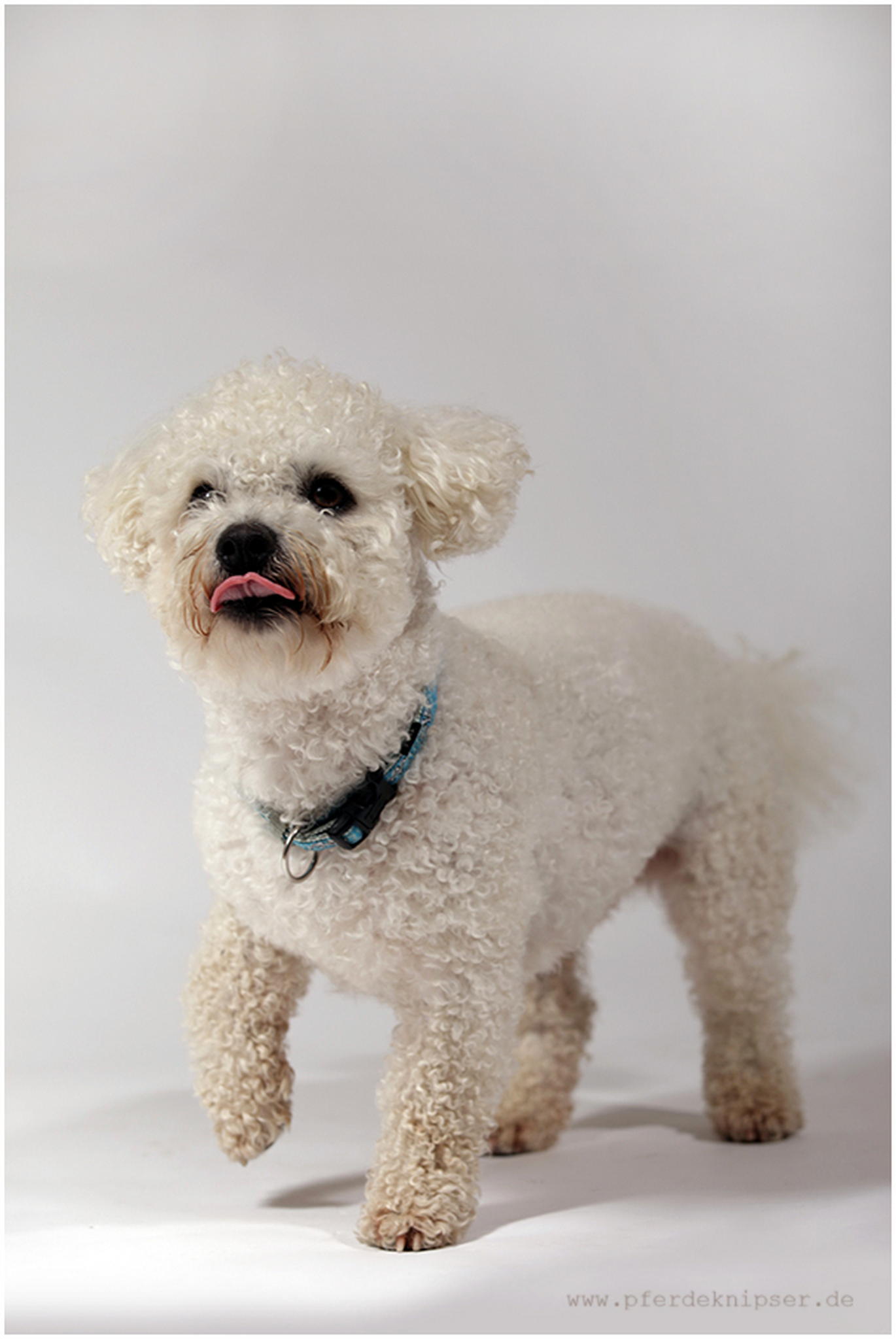 Quinzie 6010462305 o