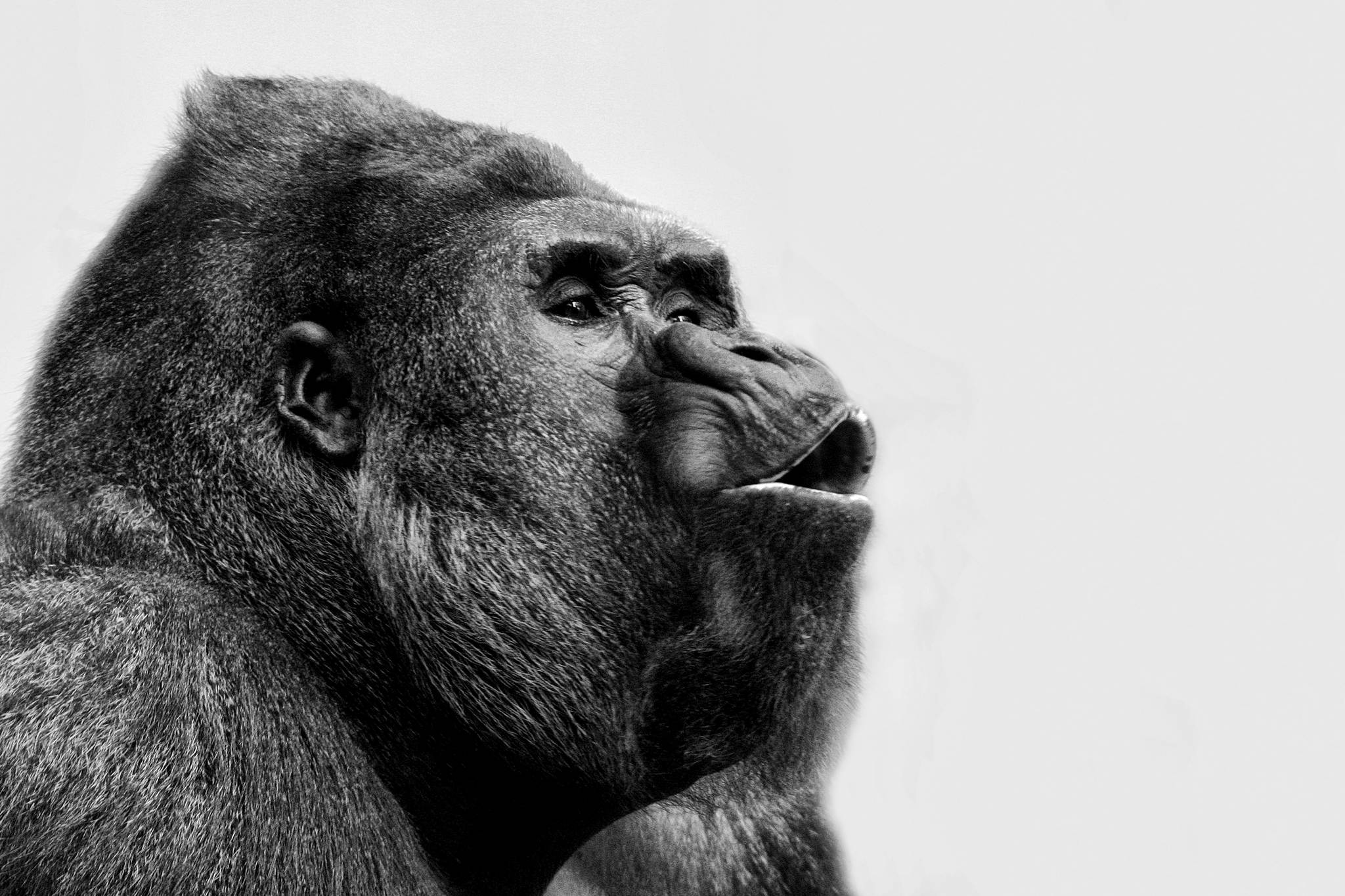 2005 02 08    IMG_2410