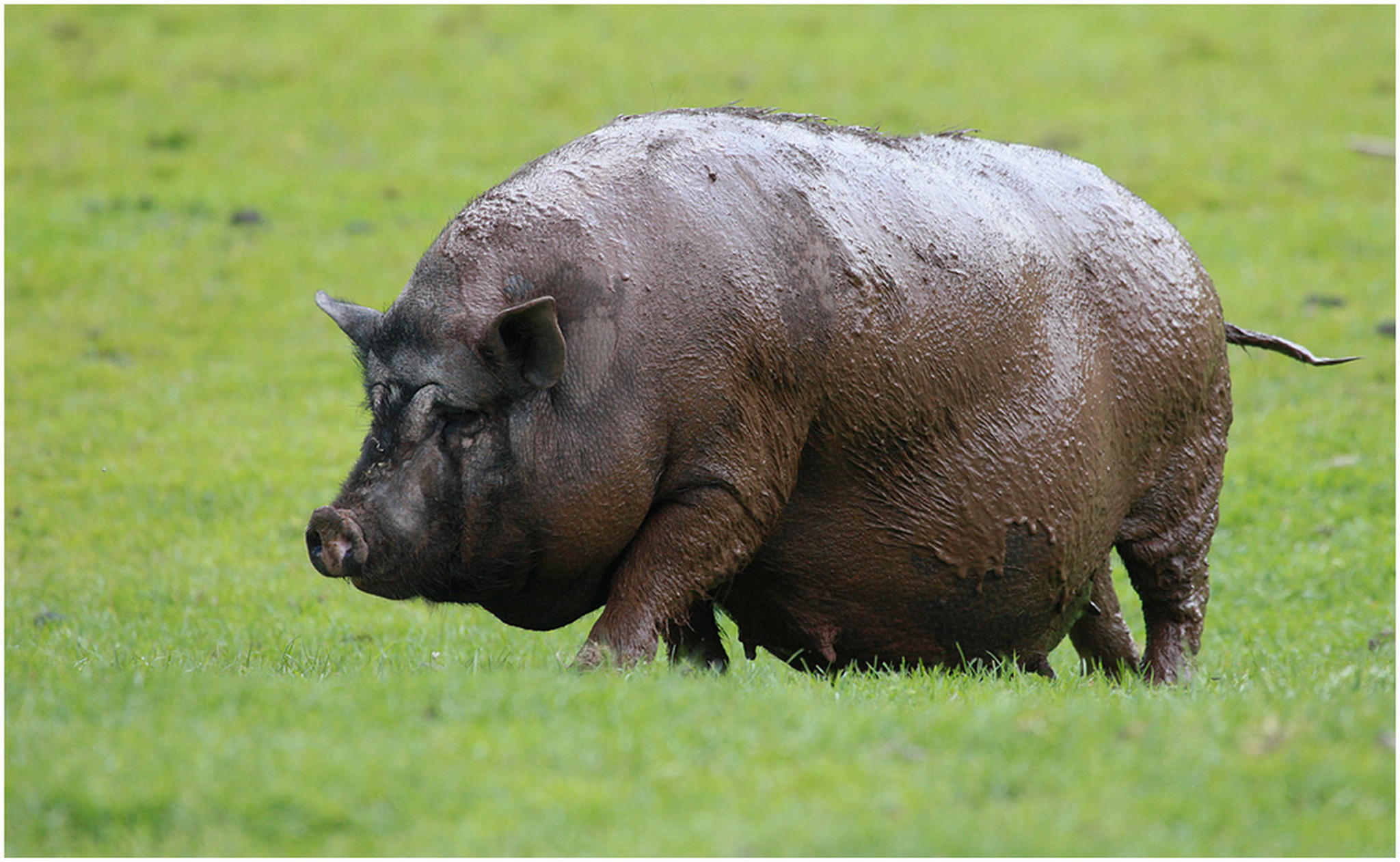 Schaut nicht so ich komme frisch von der wellness 6010931750 o