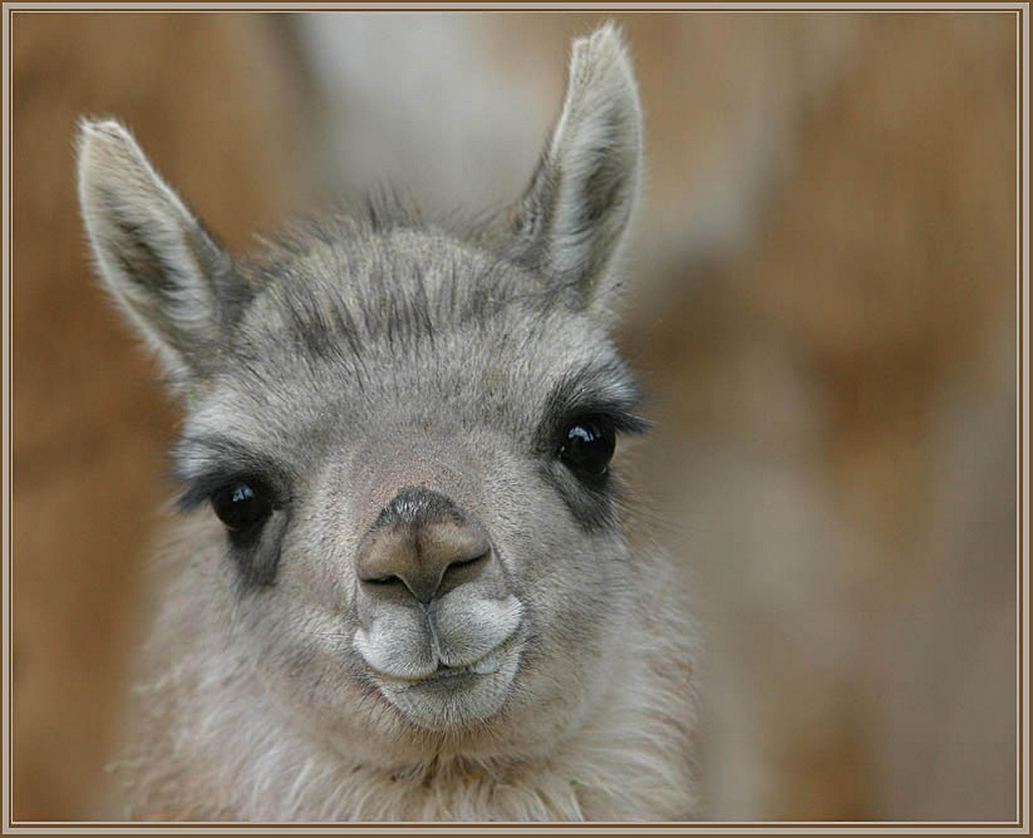 Schne augen 6013144585 o