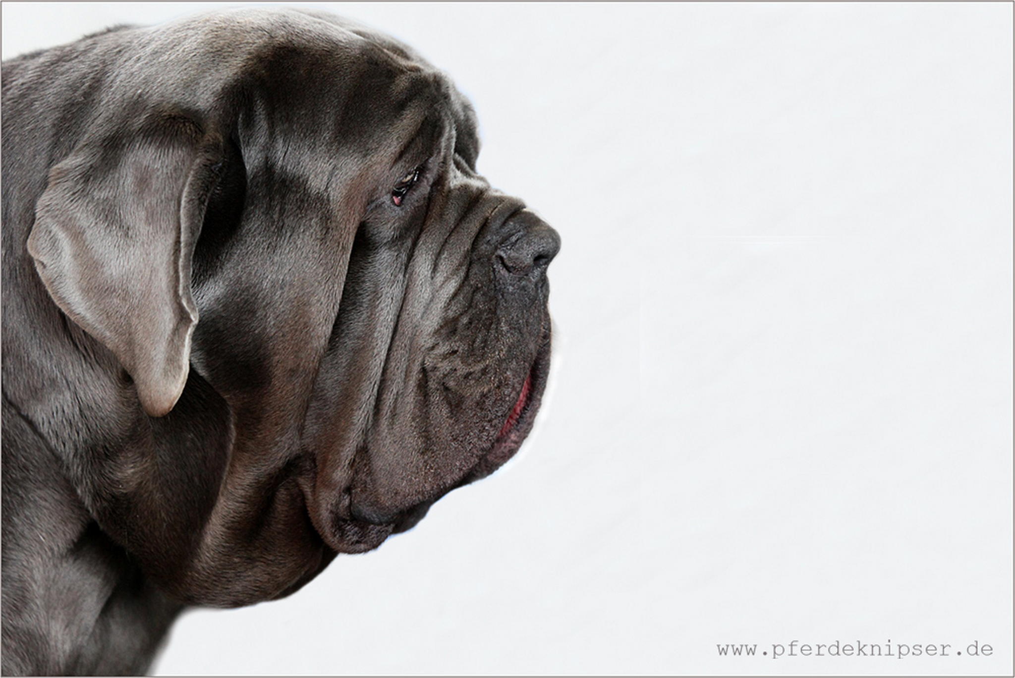 Sorgenfalten 6010463975 o