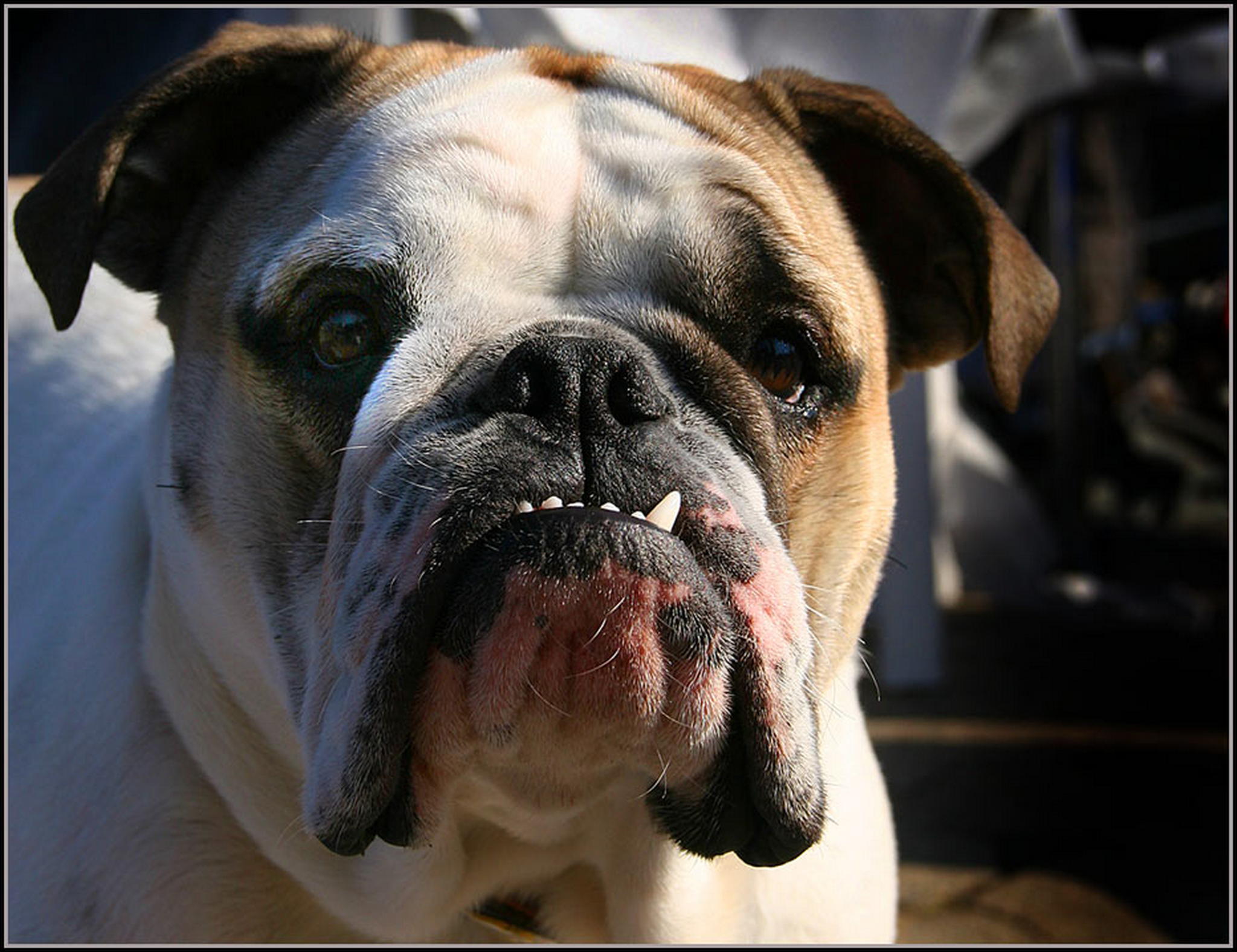 Sorgenfalten 6011085418 o