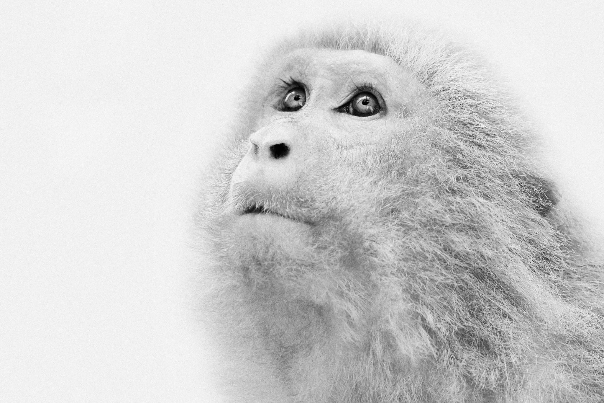 2005 03 25    IMG_3769csw