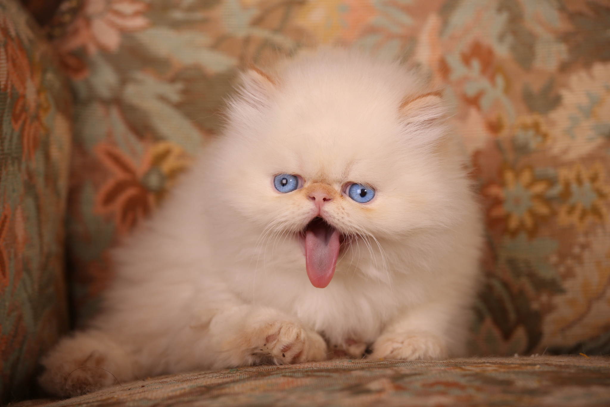 Unb 0125 23406735089 o