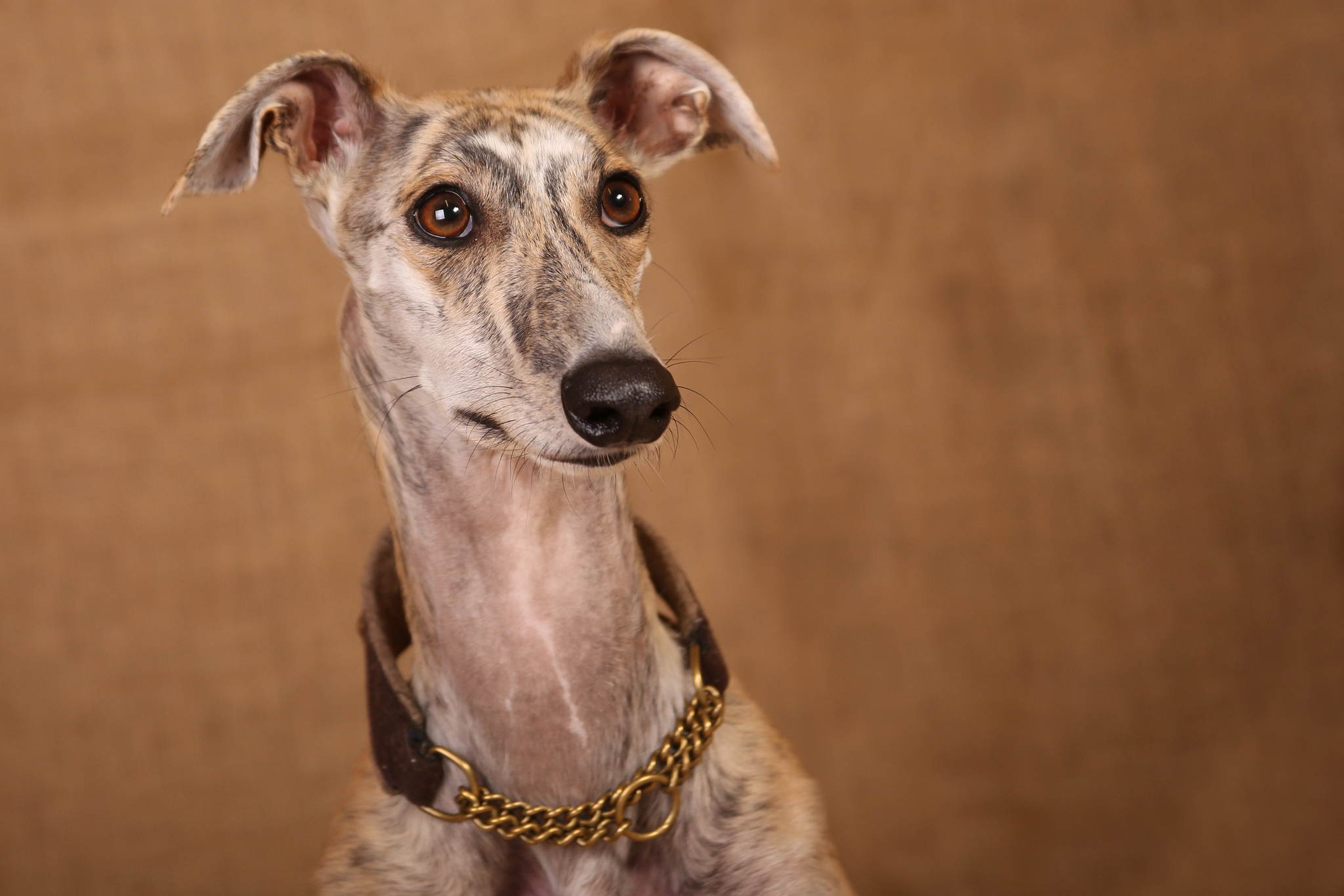 Unb 0220a 23632117891 o