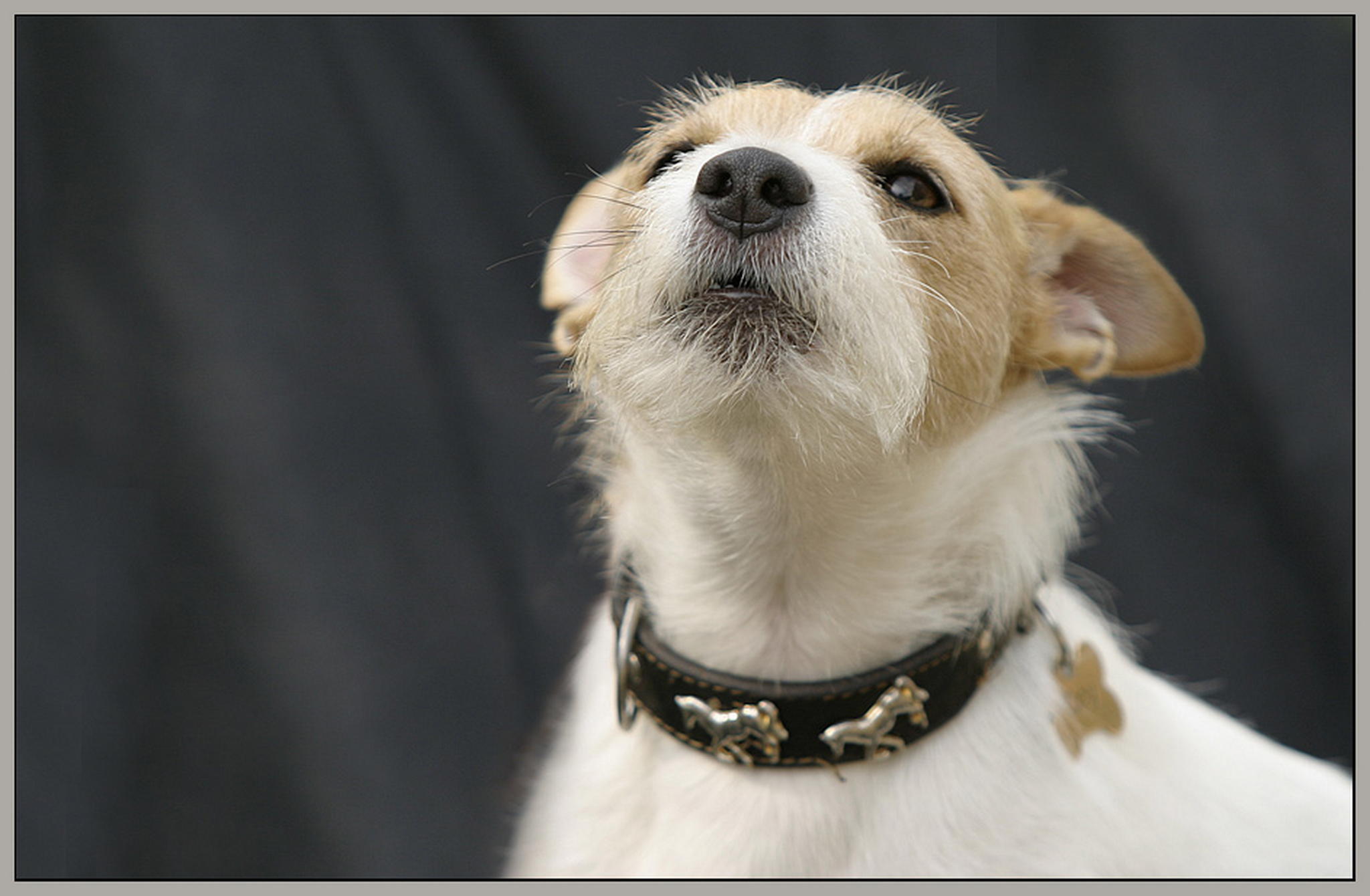 Und jetzt das hohe c 6011374988 o