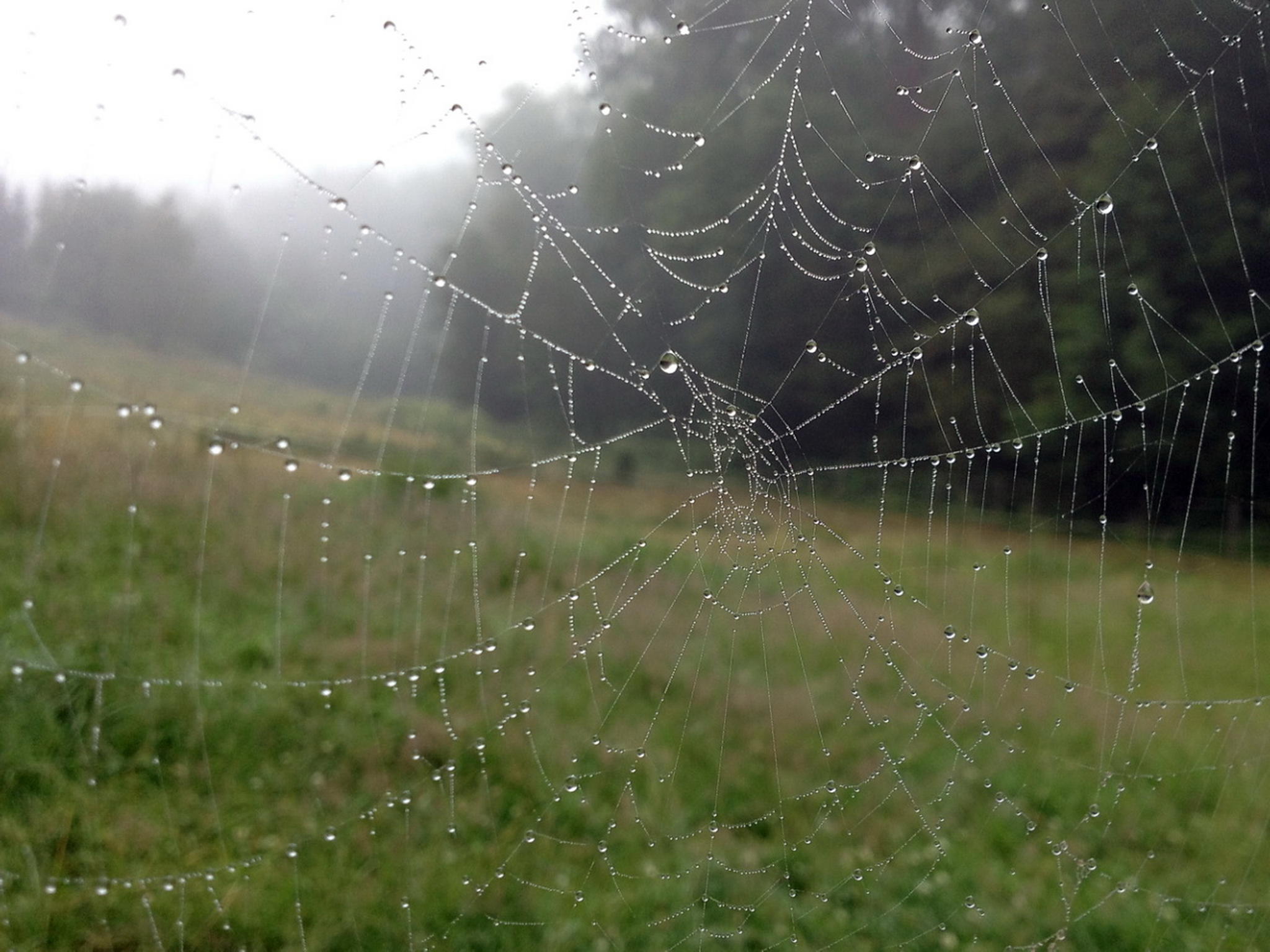 Vollbiologische architektur 7977395850 o