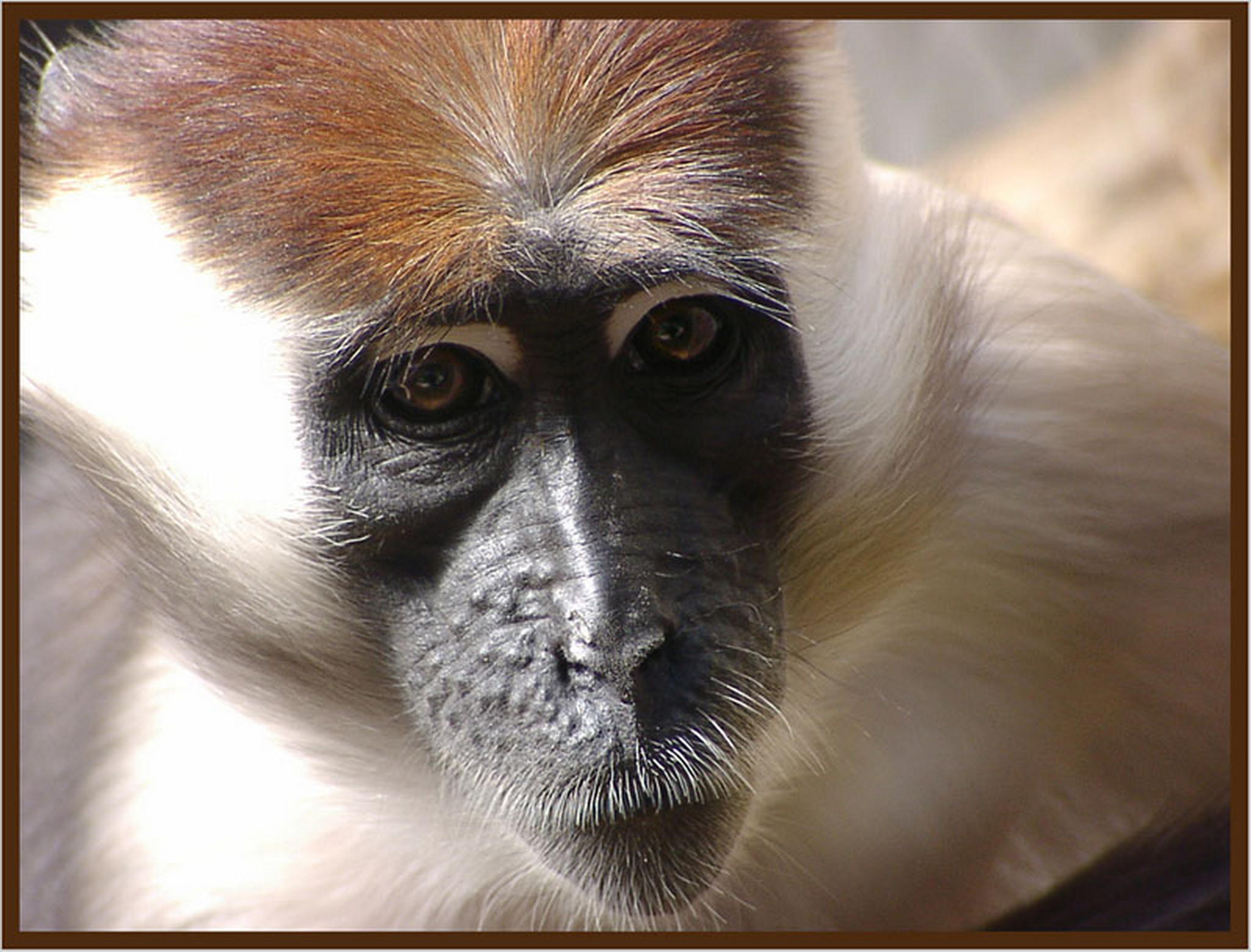 Was fr ein blick 6013682152 o