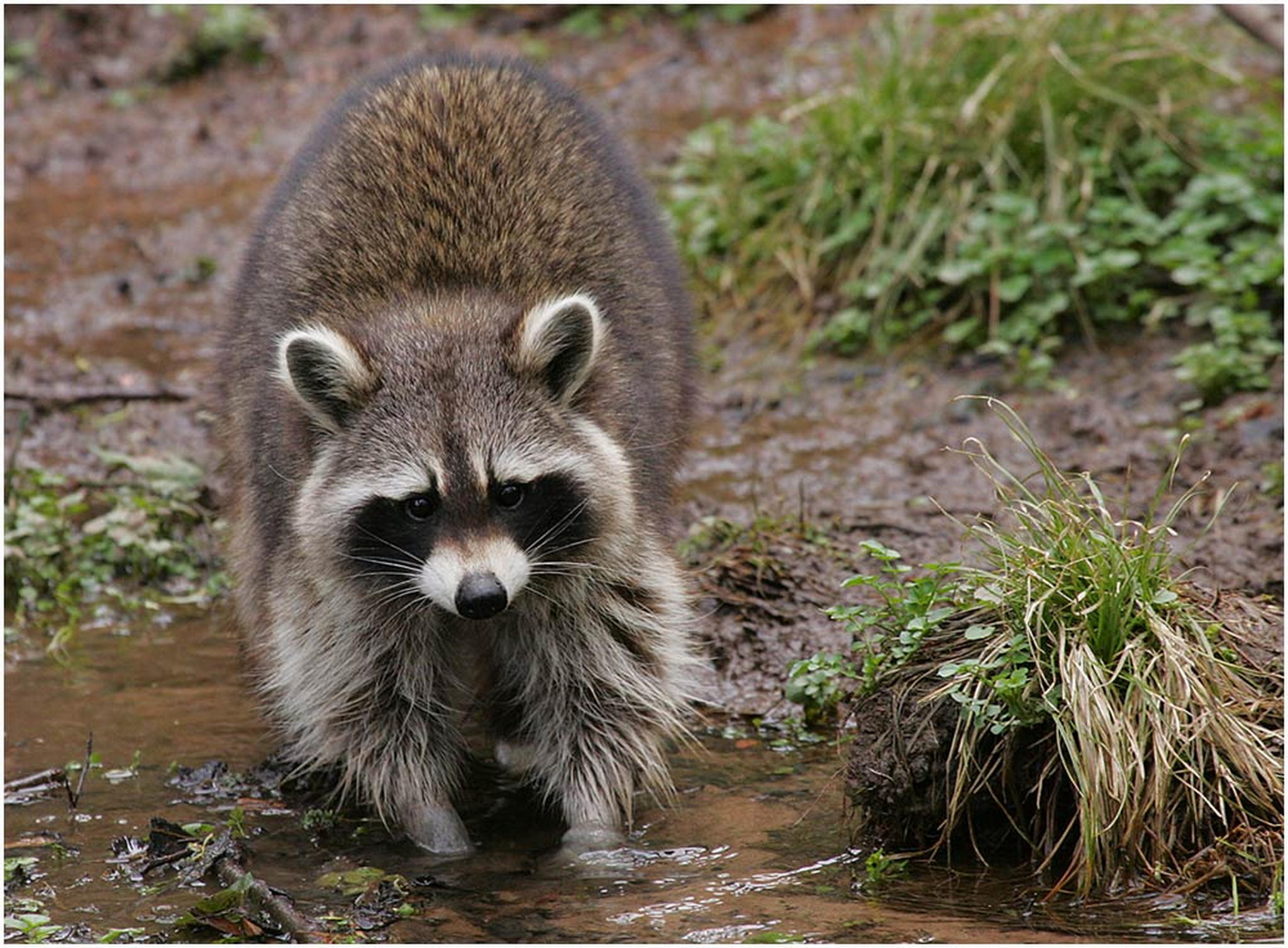 Waschtag 6010385961 o