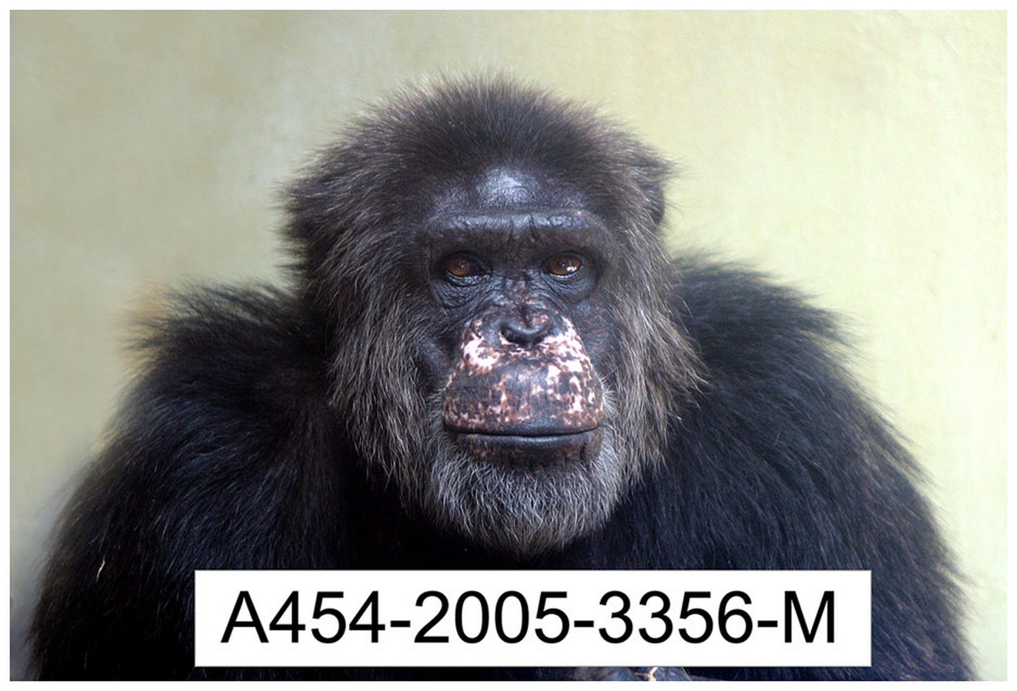 Wieviel jahre was hat er verbrochen 6011087742 o