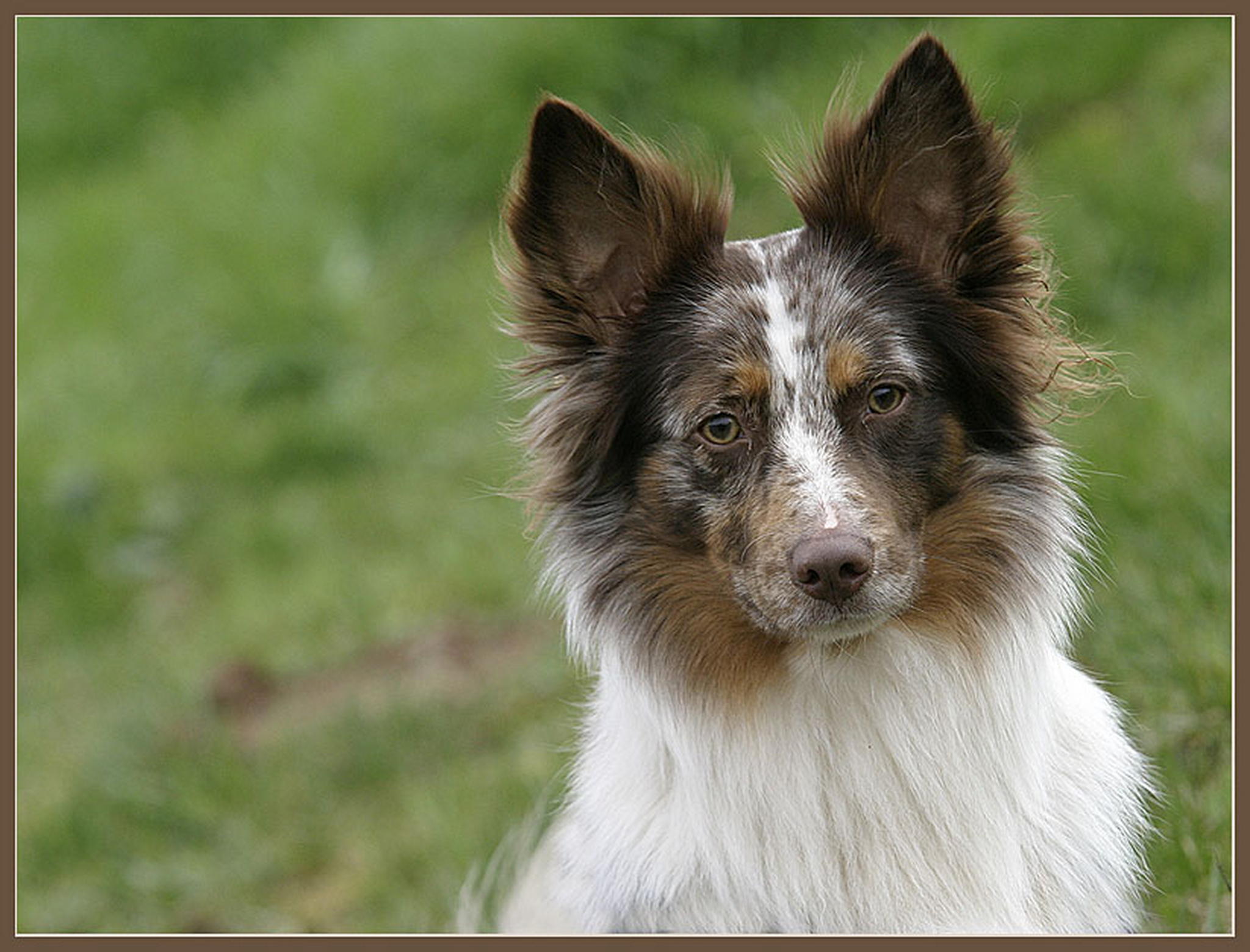 Zum liebhaben 6011373760 o