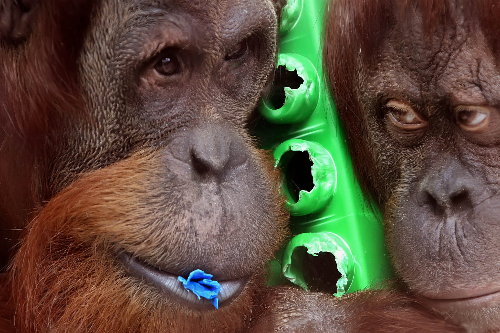 Zwei die sich mgen 13689563744 o