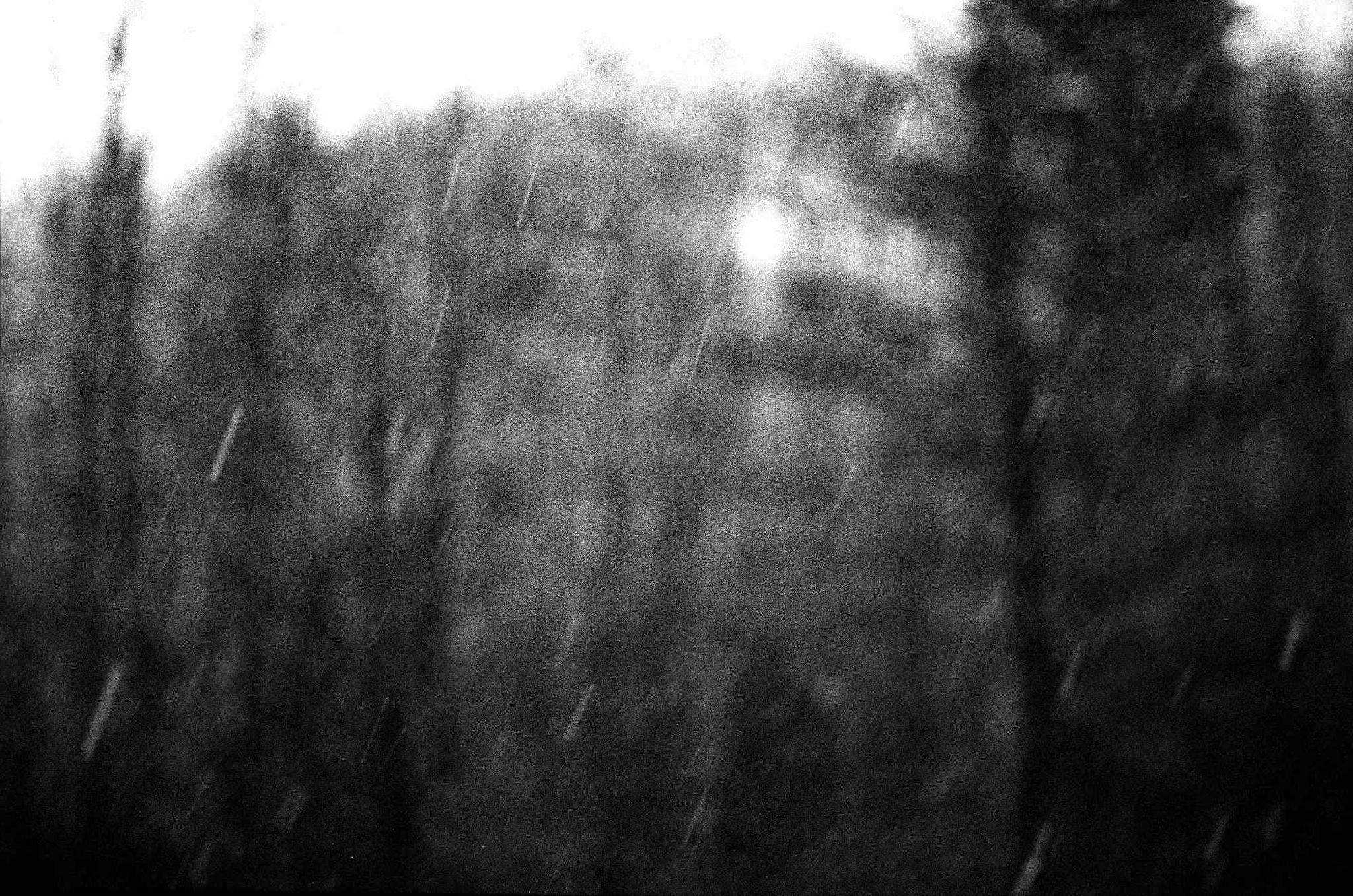 02 web 2017 12 29 canon7   18 39347019842 o