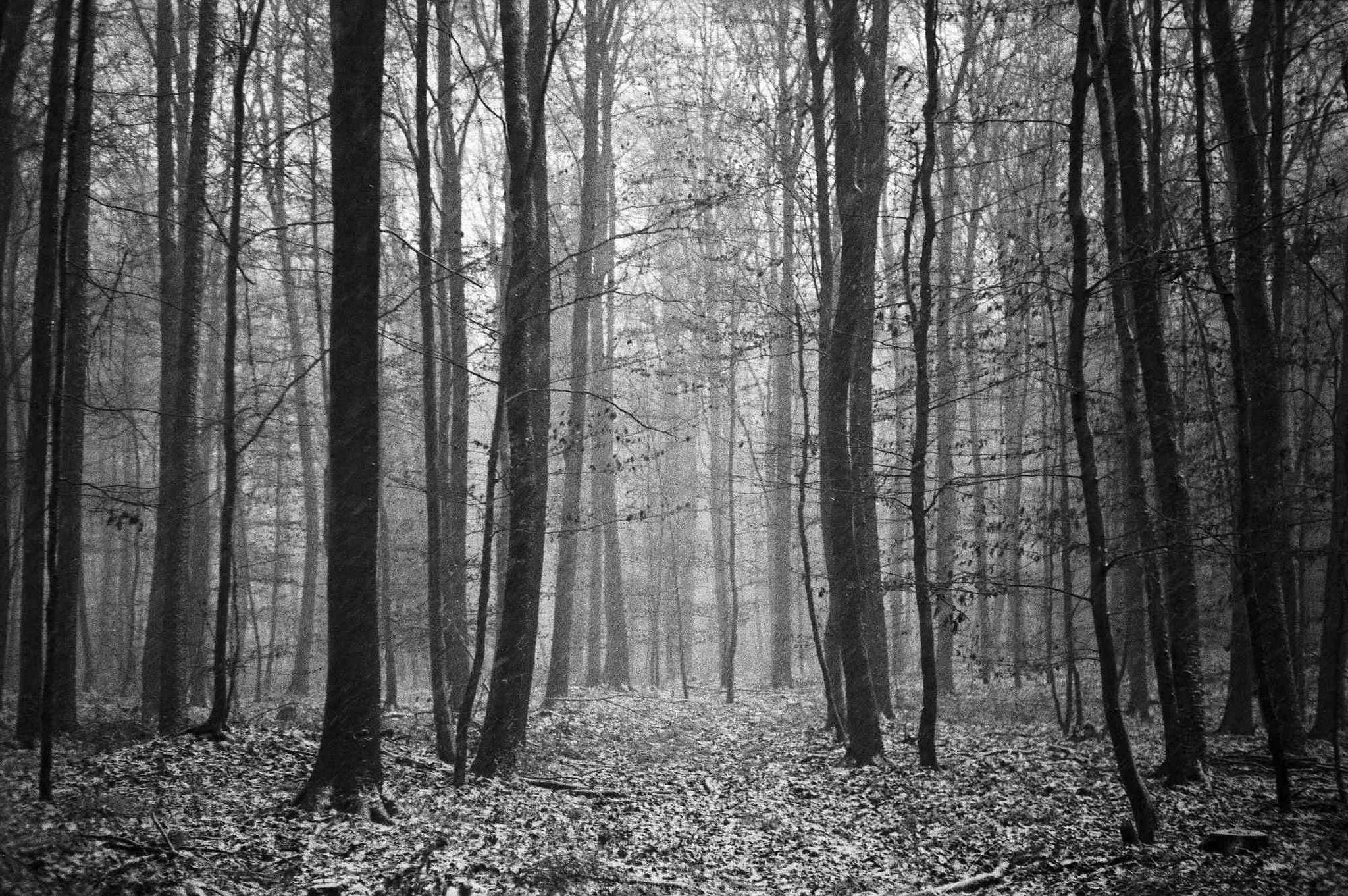 03 web 2017 12 29 canon7   31 38668499904 o