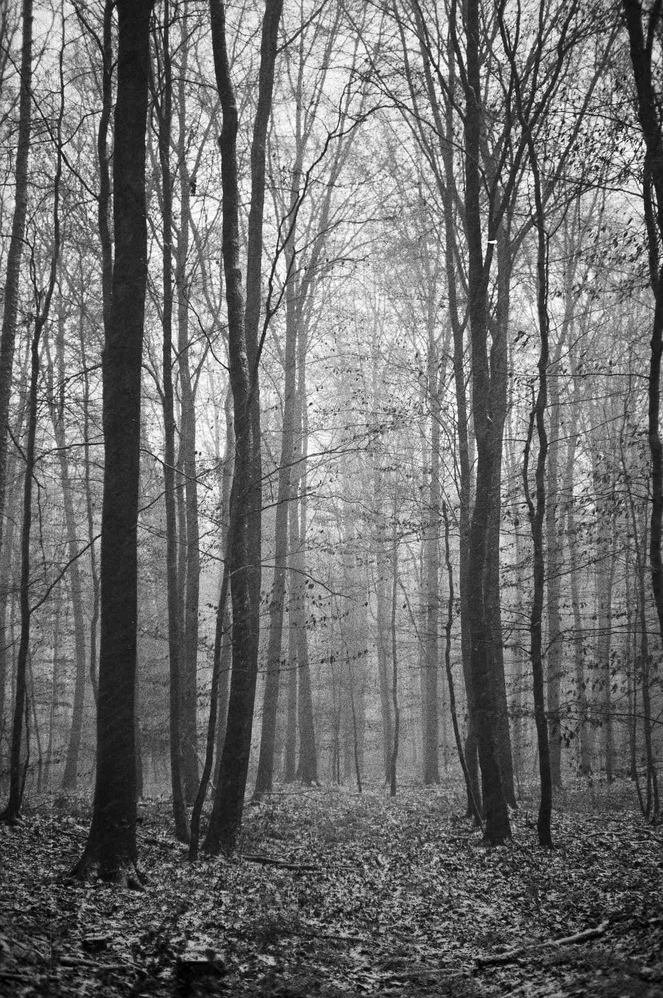 04 web 2017 12 29 canon7   19 39376515201 o