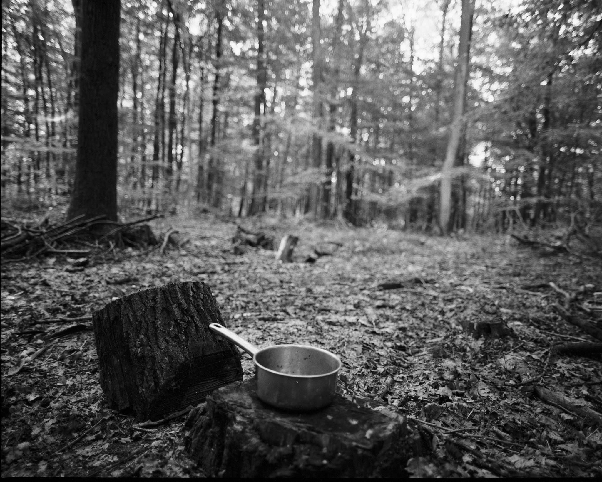 2017 09 26 pentax 6x7 02 37345535561 o