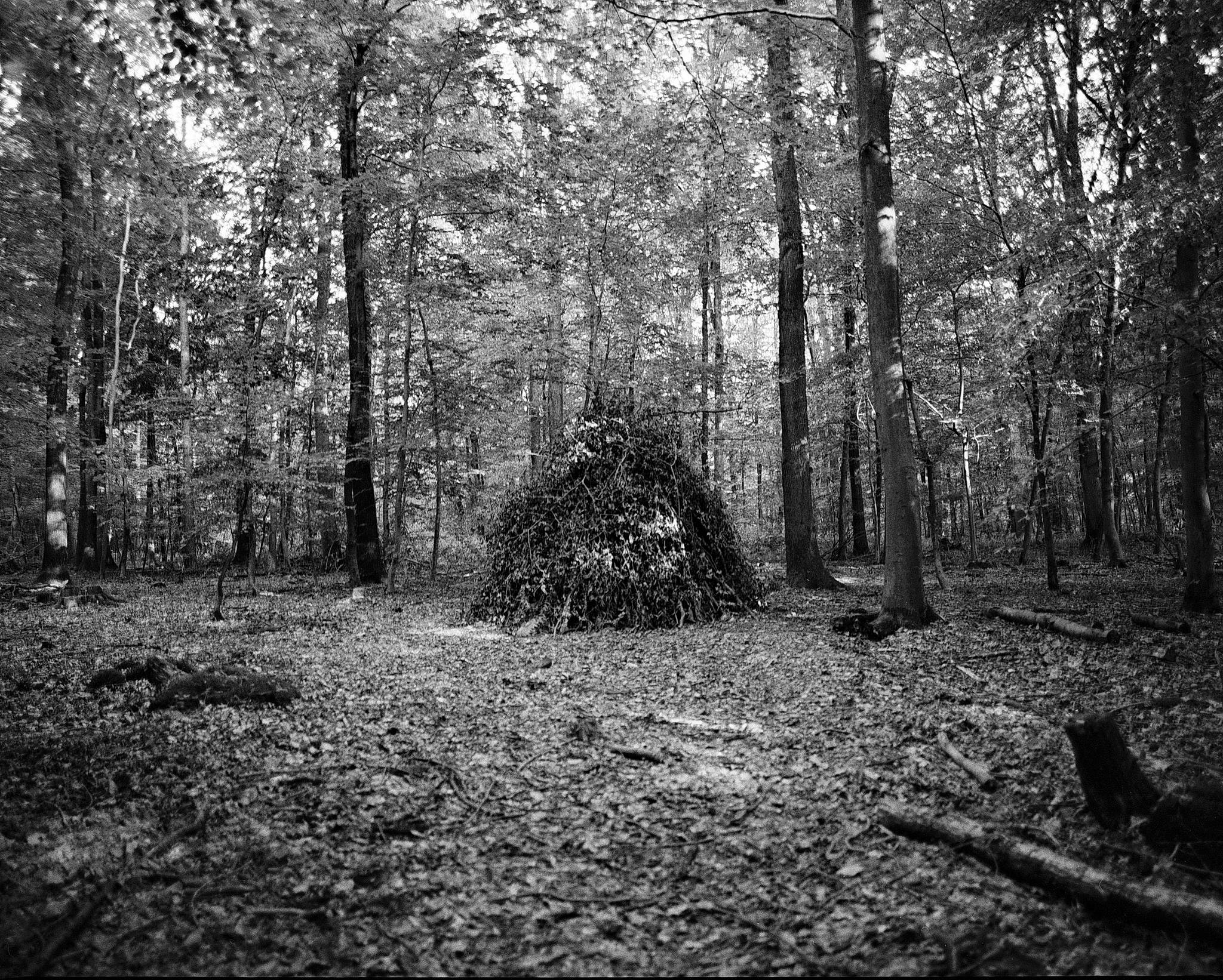 2017 09 26 pentax 6x7 09 37345530991 o