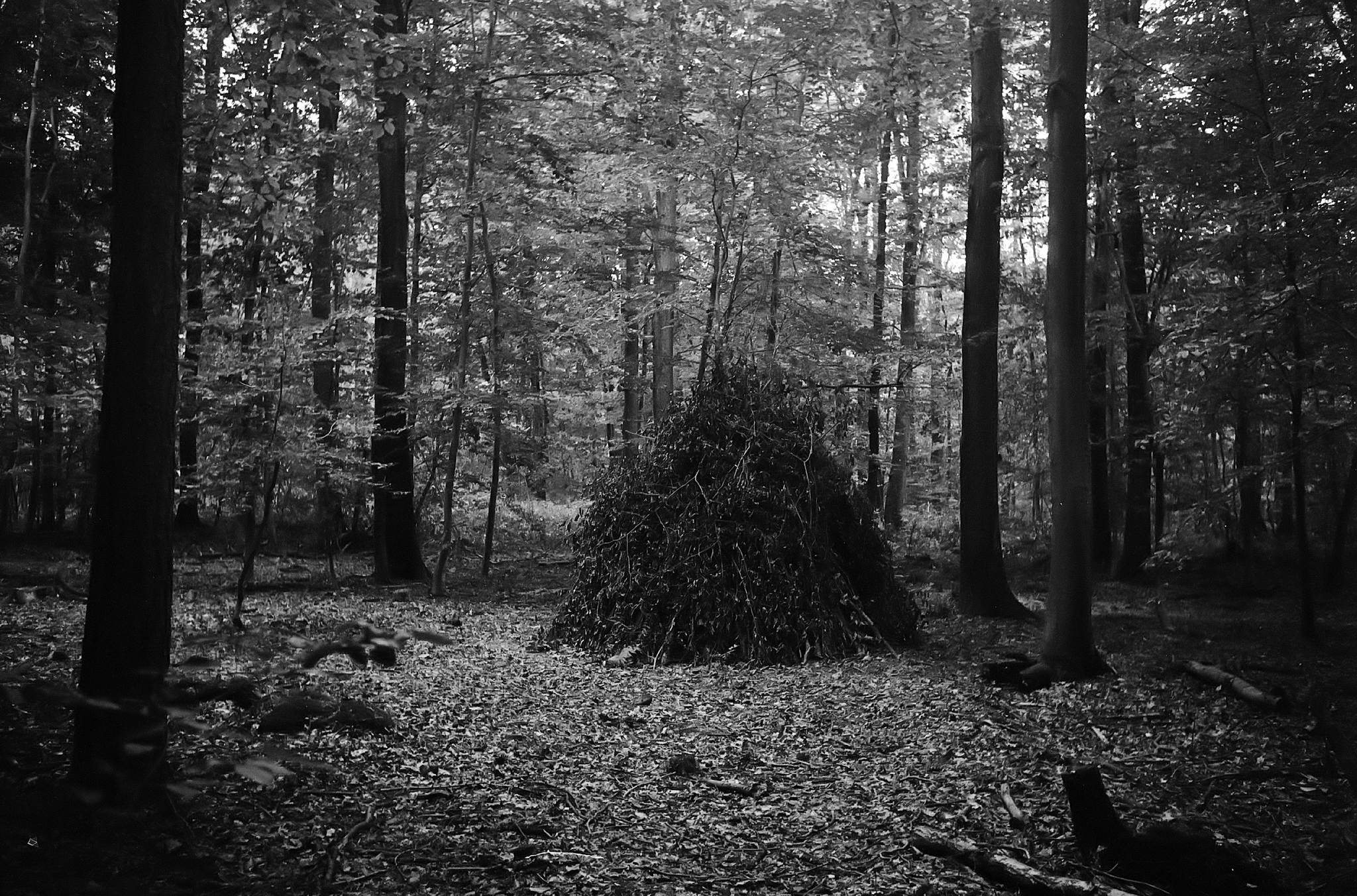 2017 09 leicaiiif summaron 31 23479389728 o