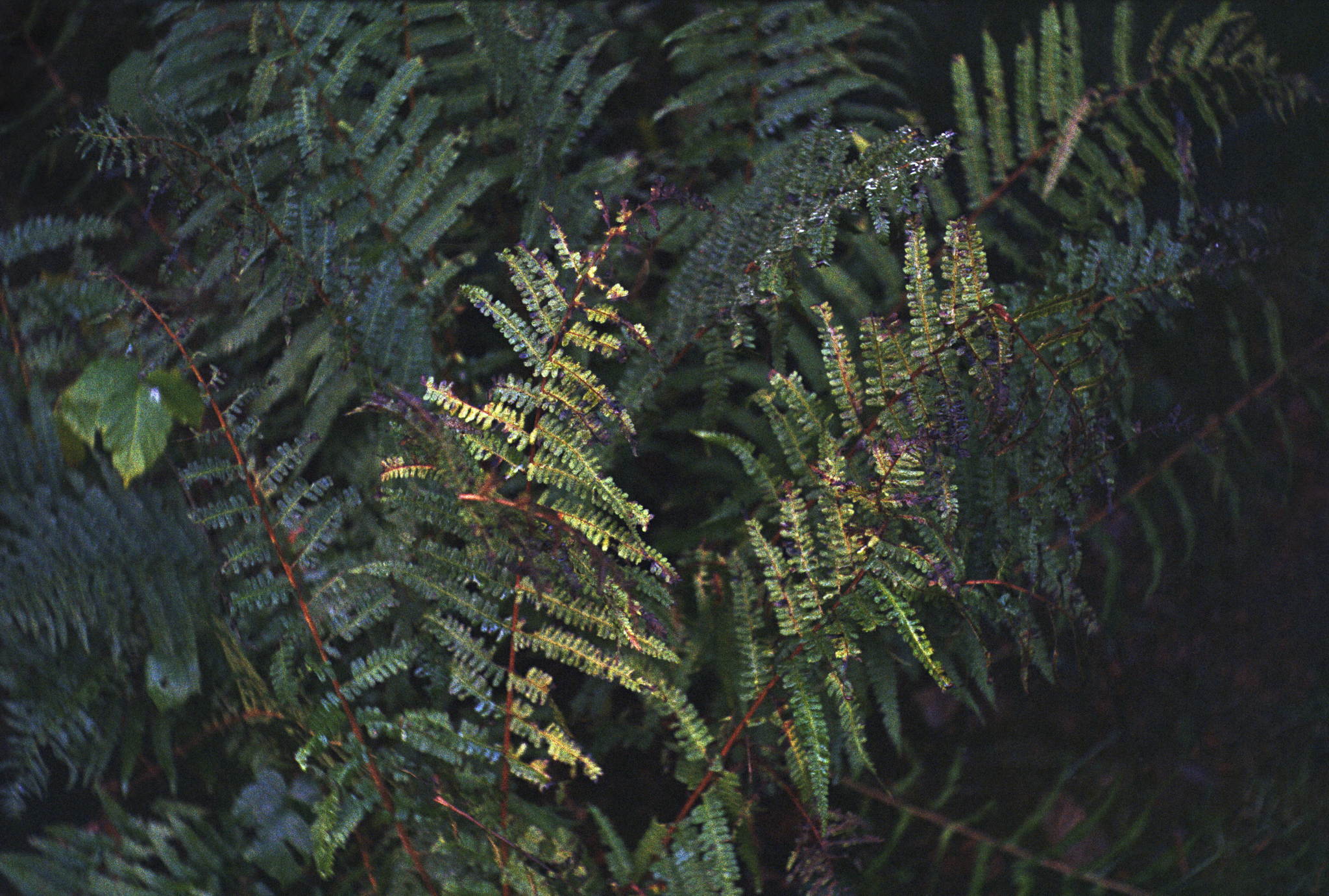 2017 12 11 leica  22 25122622378 o