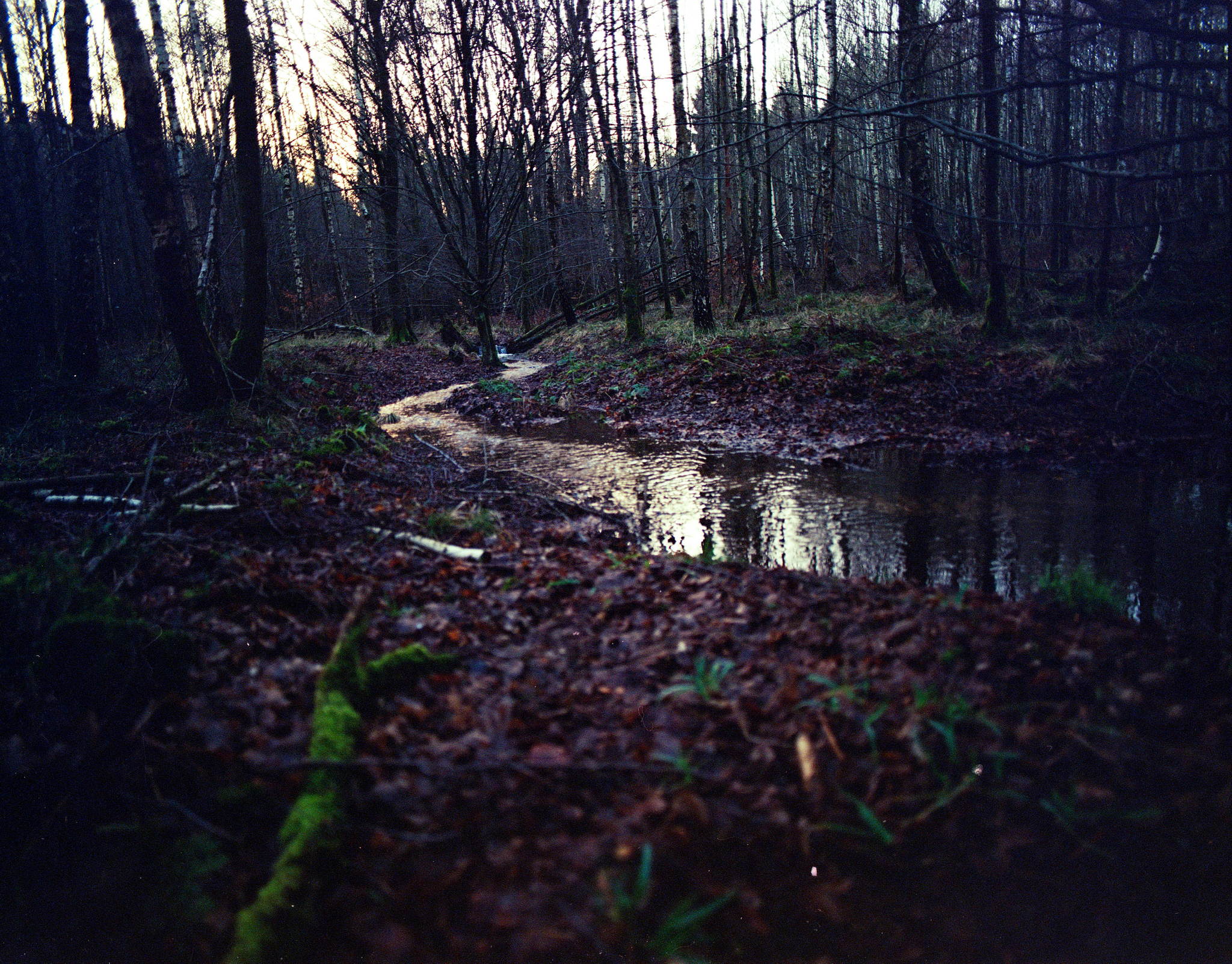 2018 01 18 pentax 6x7  03 25901869848 o