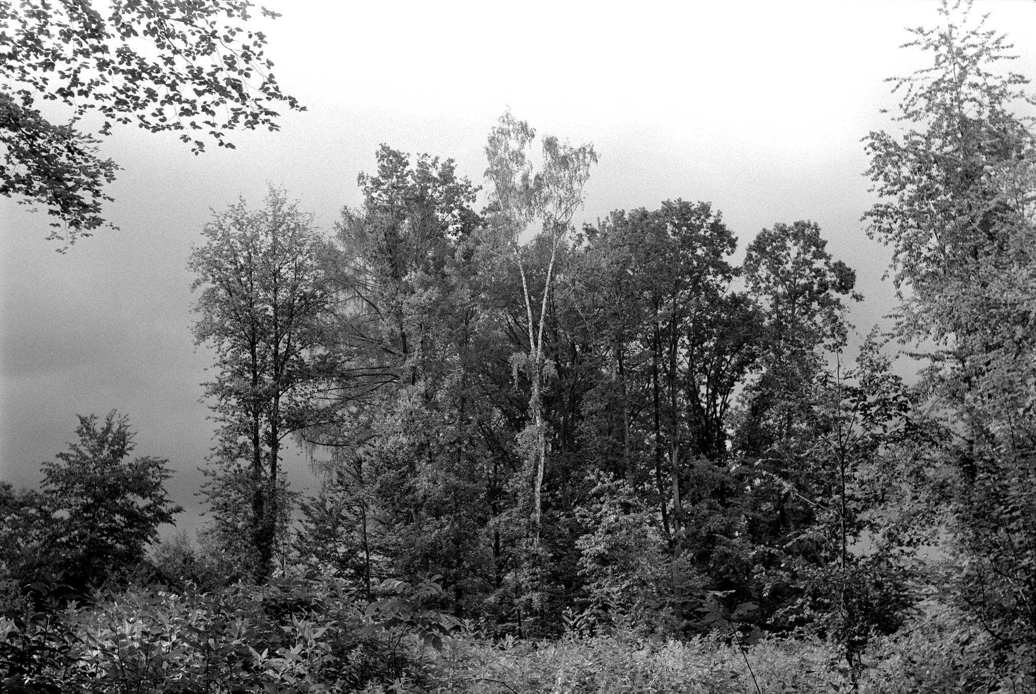 2018 07 05 hexar pyro 35 42357521545 o