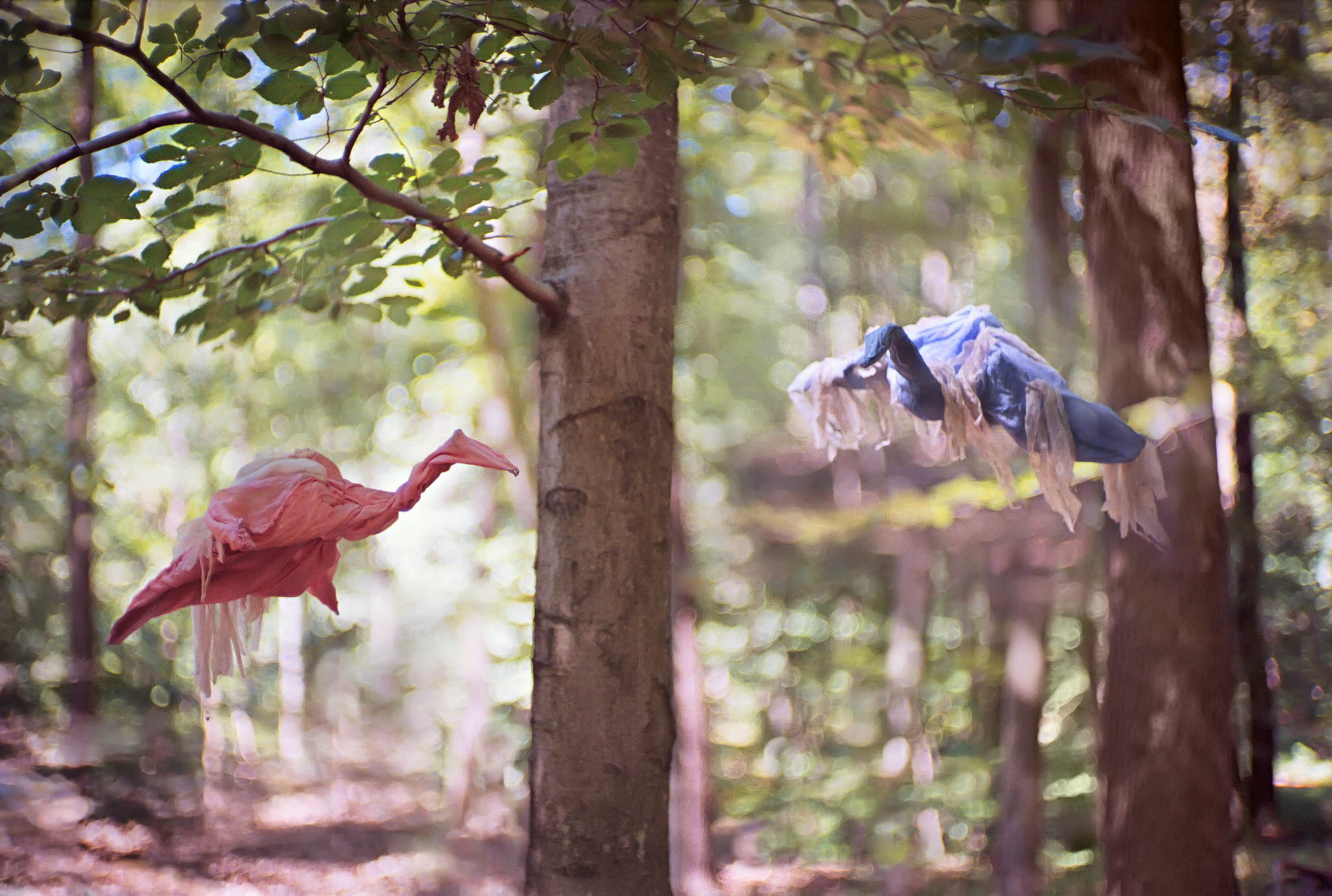 2018 08 05 cle canon 59 28992434817 o