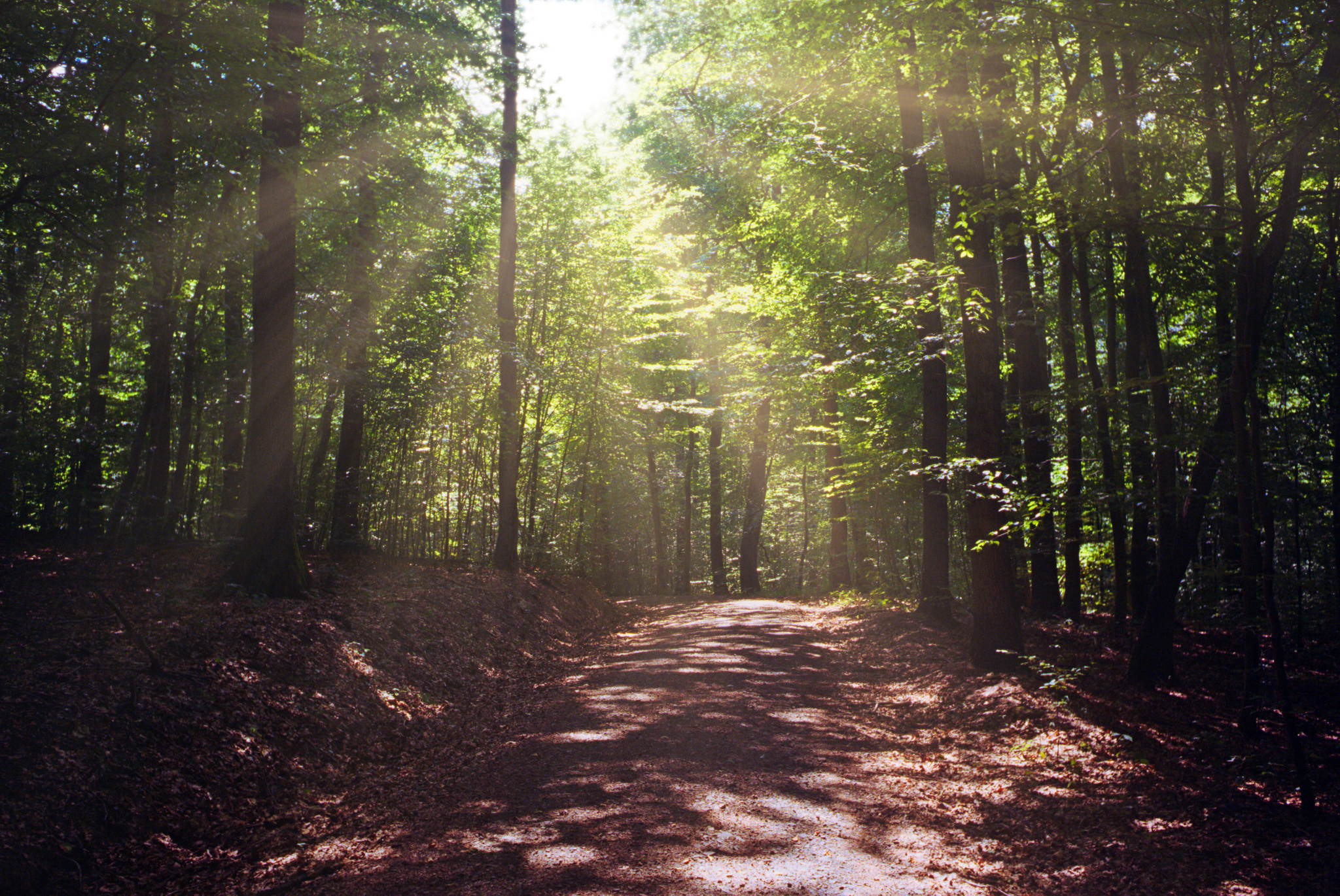 2018 08 05 cle summaron 01 43834340332 o