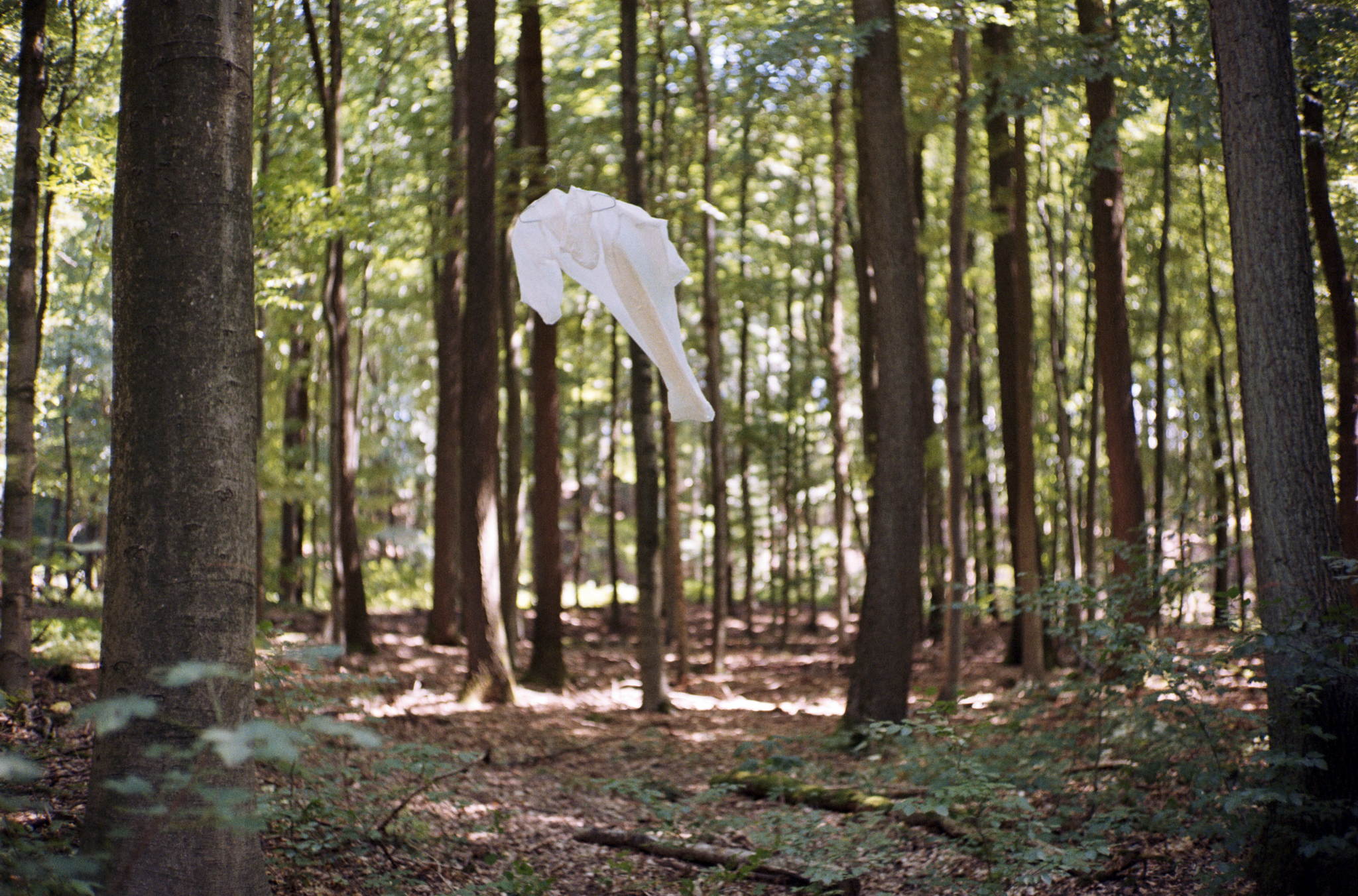 2018 08 05 cle summaron 12 28992409387 o