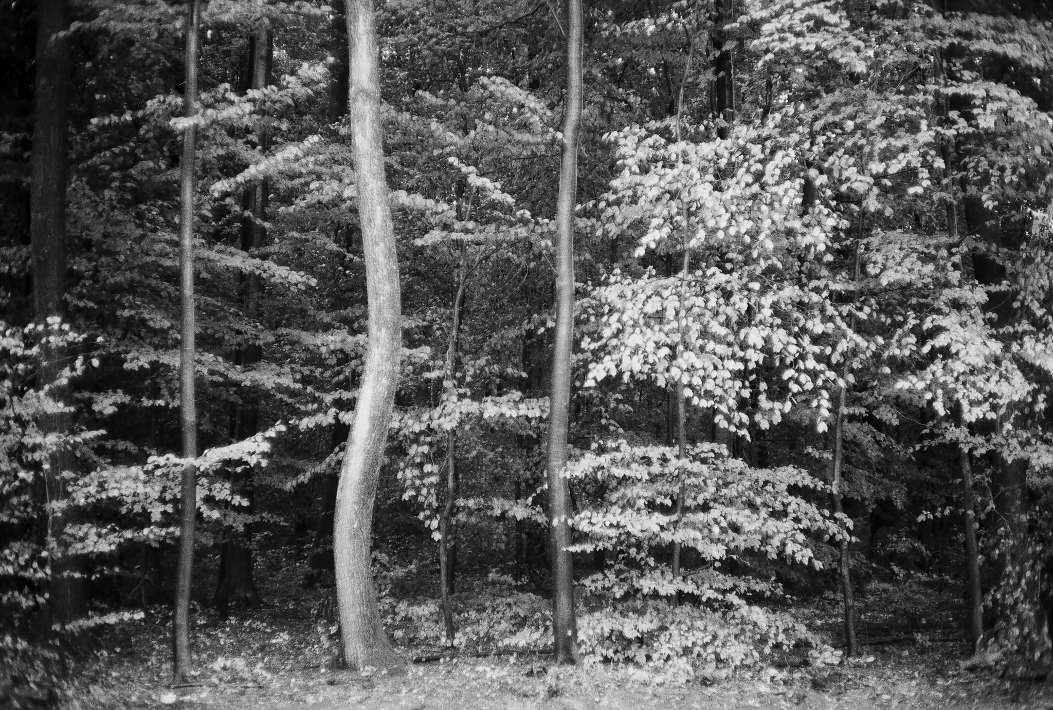 2018 09 26 cle 20a 44119849385 o