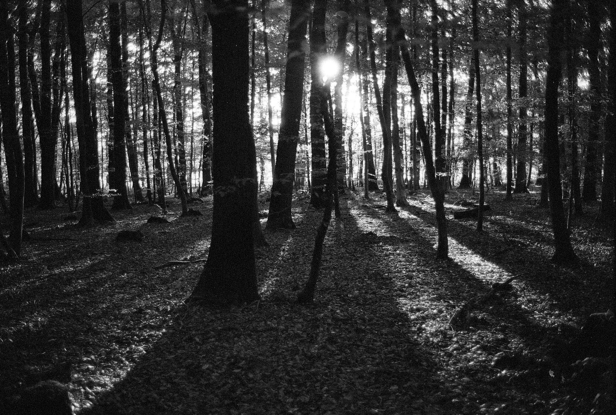 2018 09 26 cle 42 30071096697 o