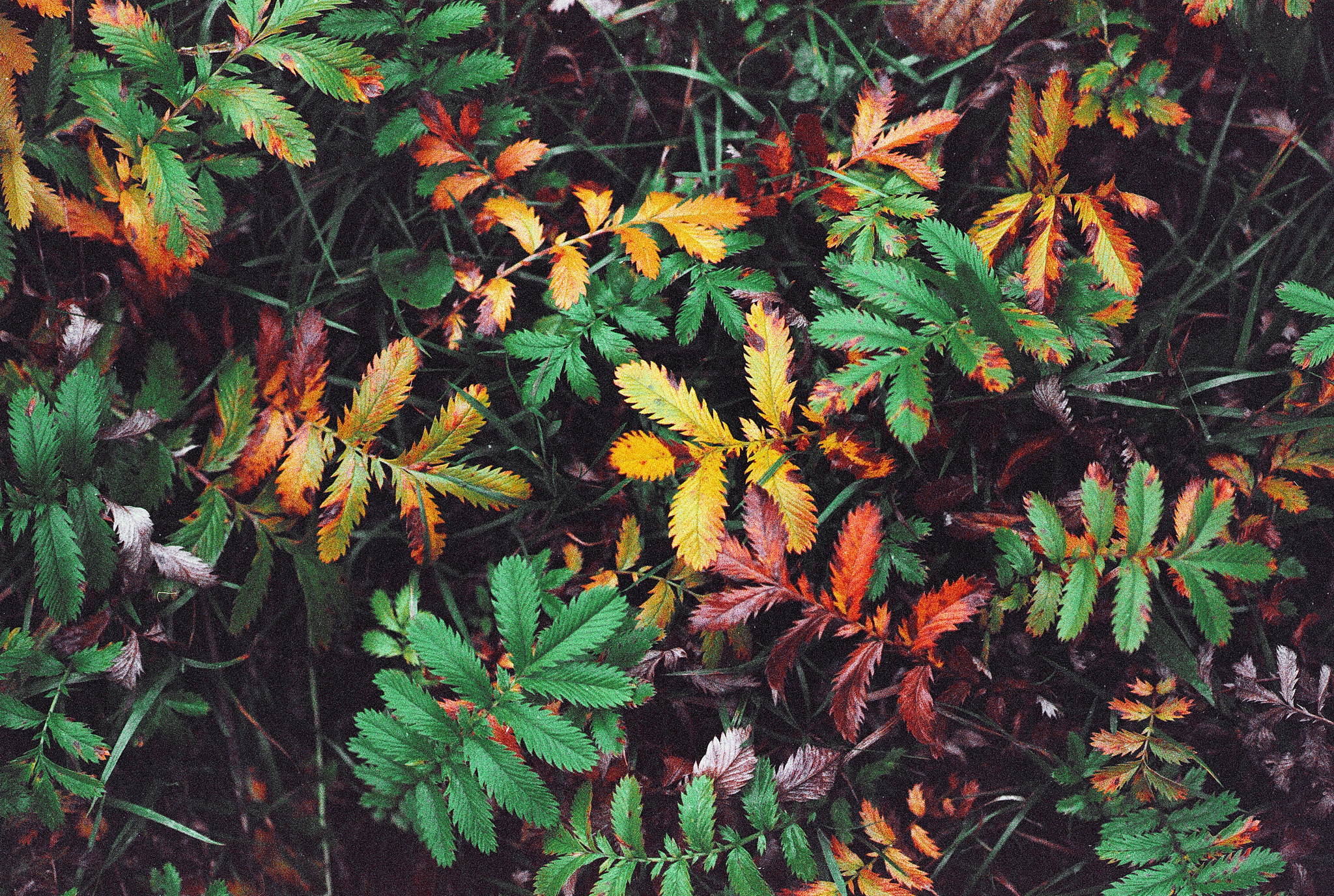 2018 10 30 cle 12 45702279651 o