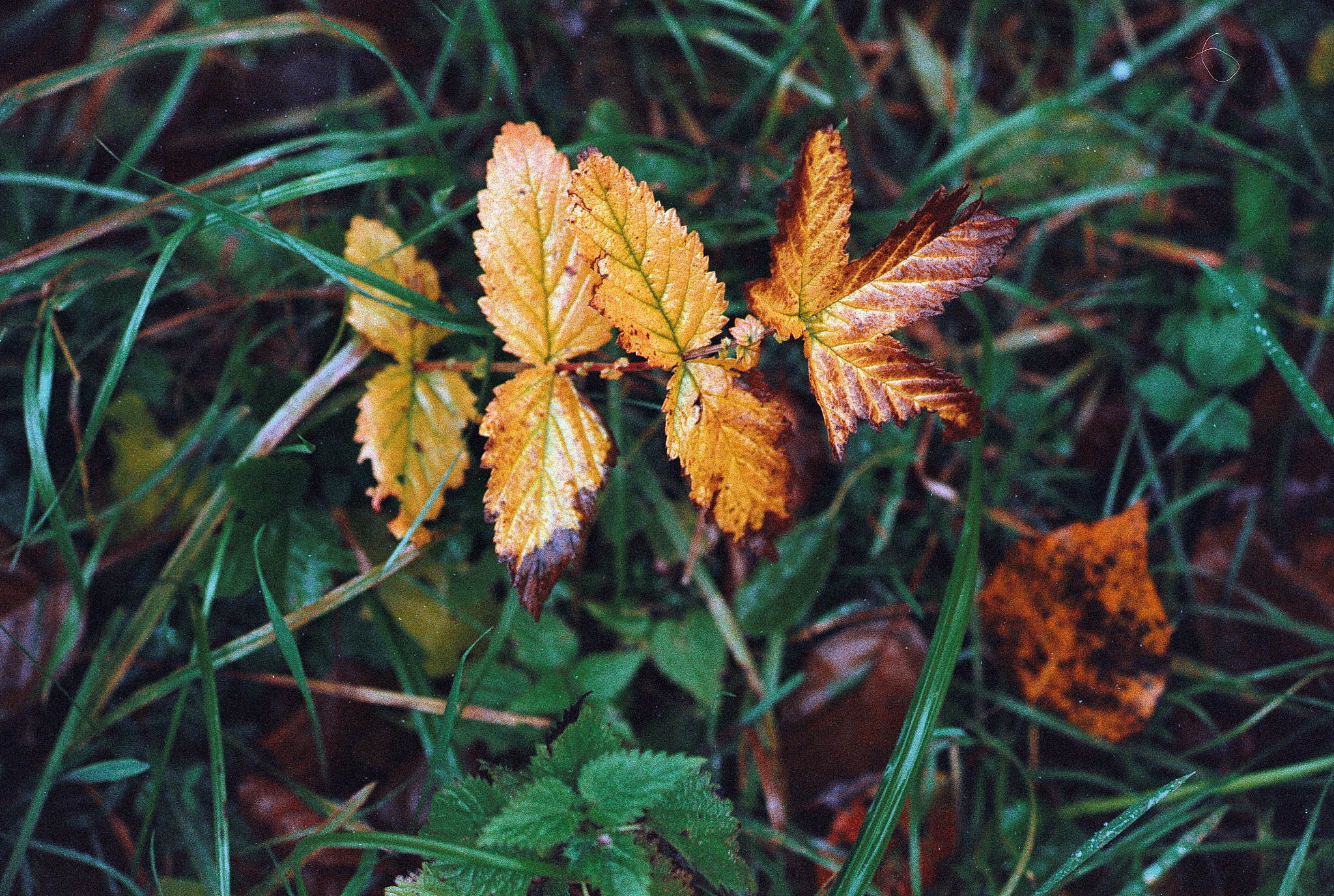 2018 10 30 cle 13 45651433422 o