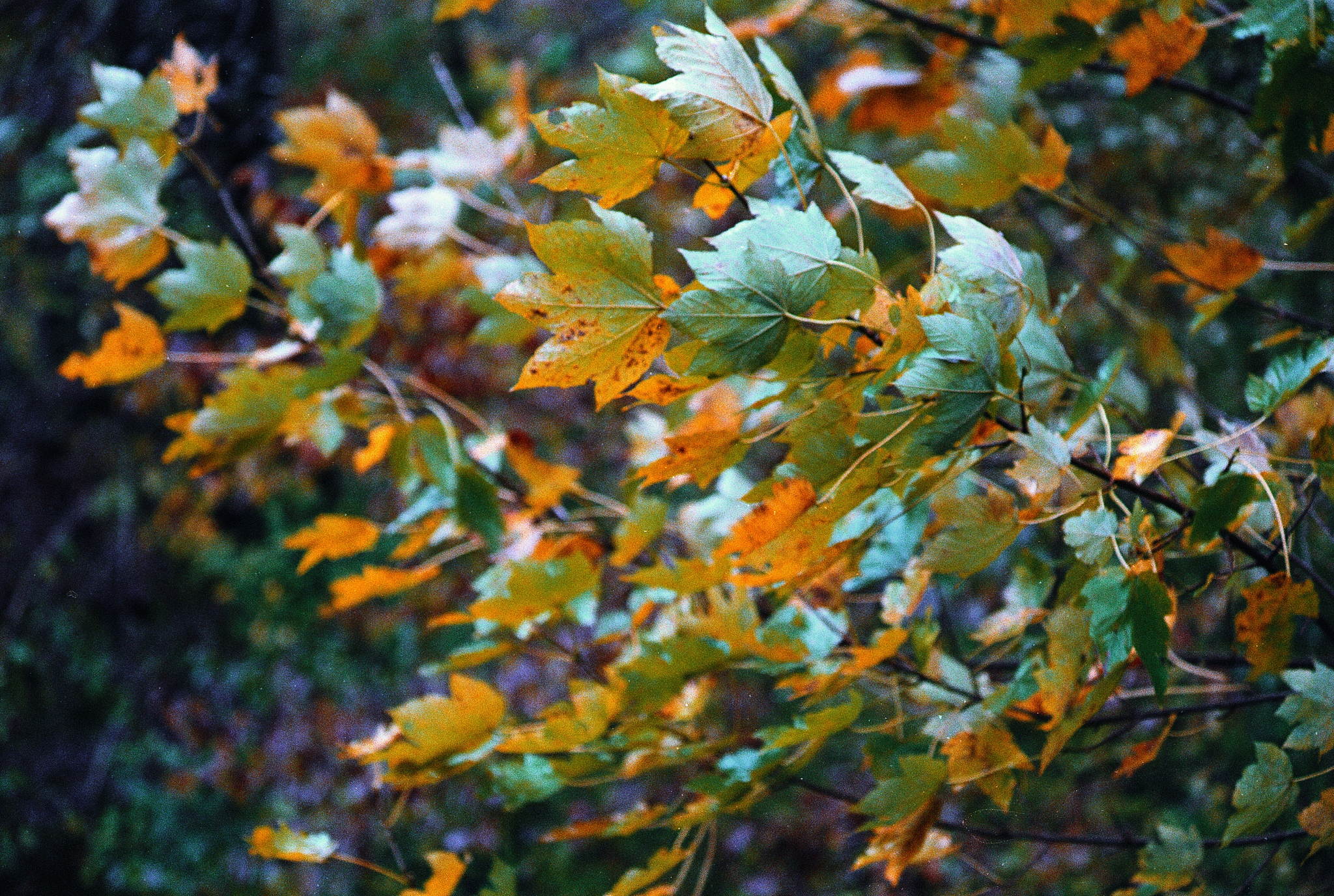 2018 10 30 cle 14 44977333124 o