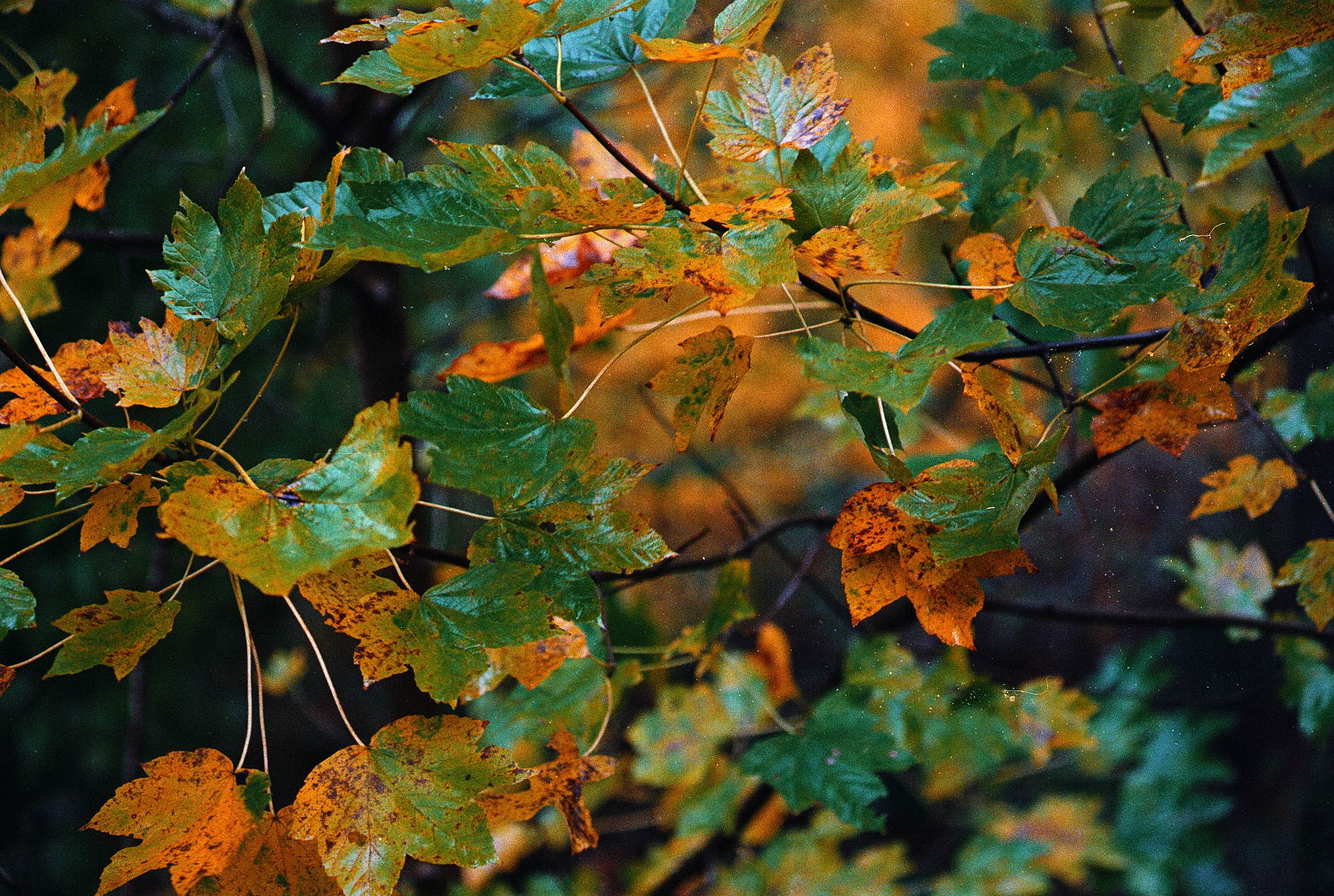 2018 10 30 cle 17 30761533037 o