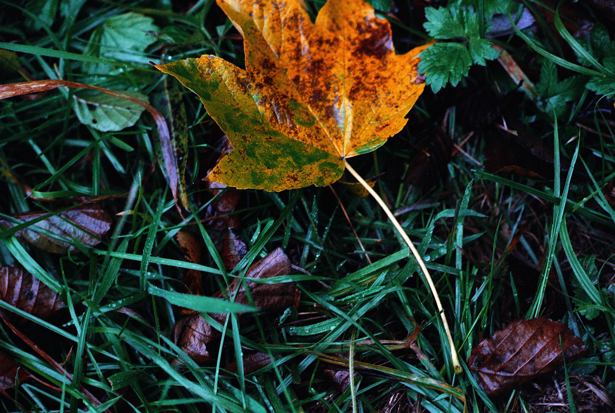 2018 10 30 cle 19 43884295370 o