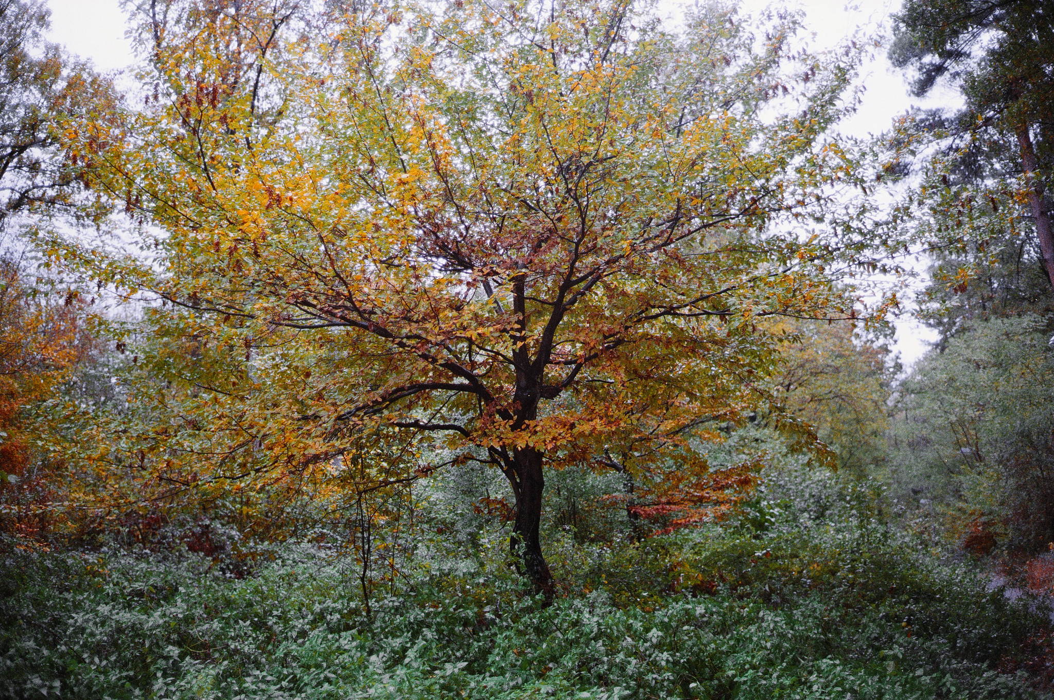 2018 10 30 cle 44977346384 o