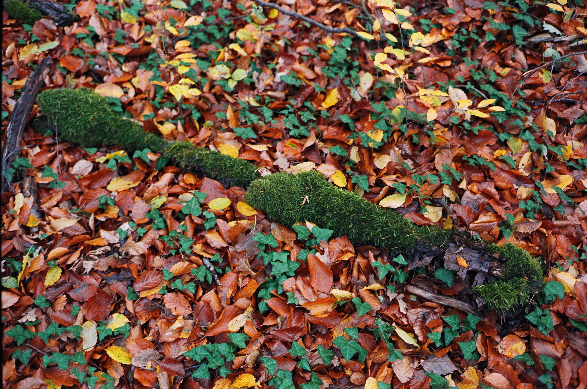 2018 11 02 cle vista 400 10 44786383515 o