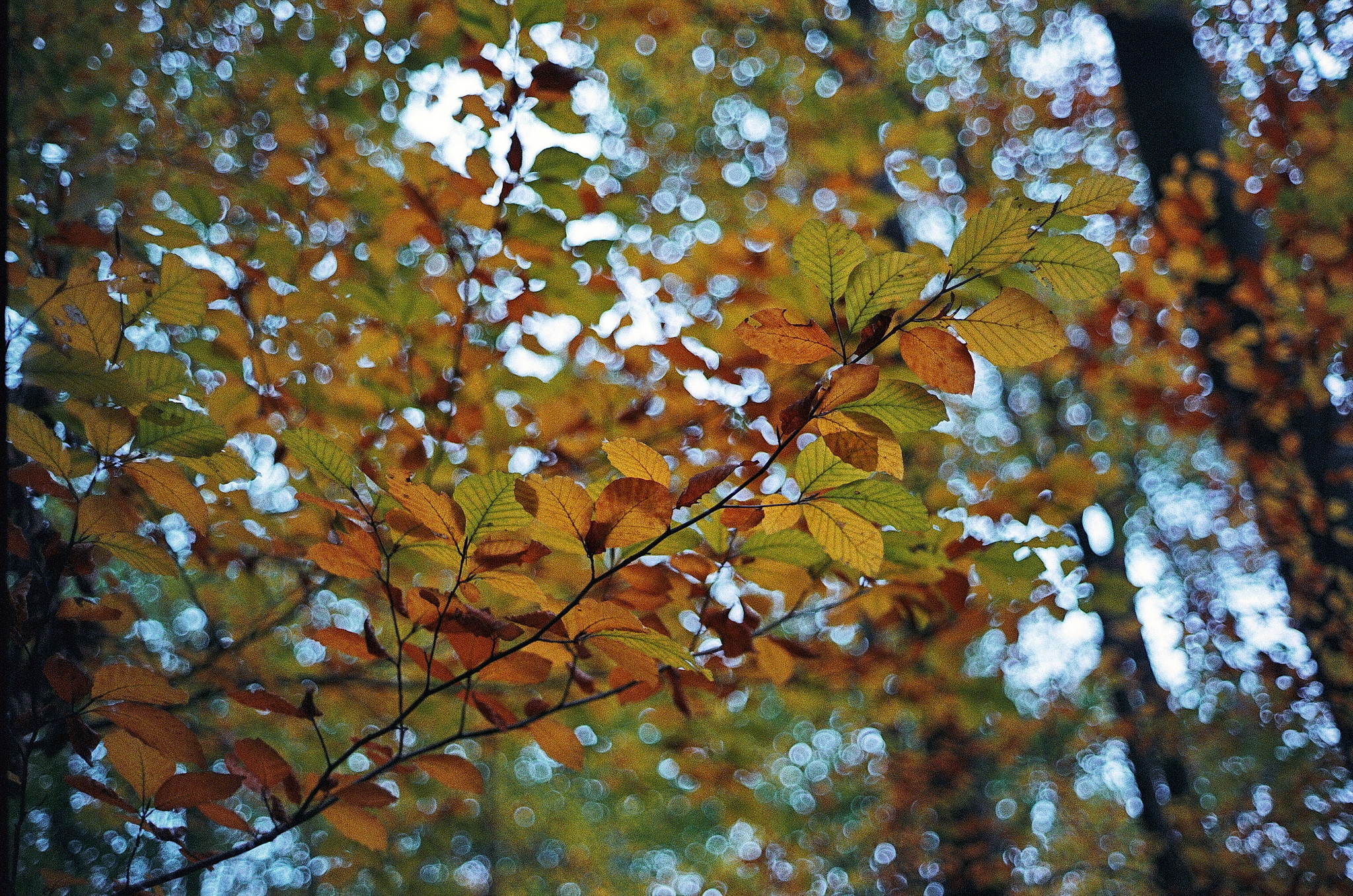 2018 11 02 cle vista 400 13 45650008122 o