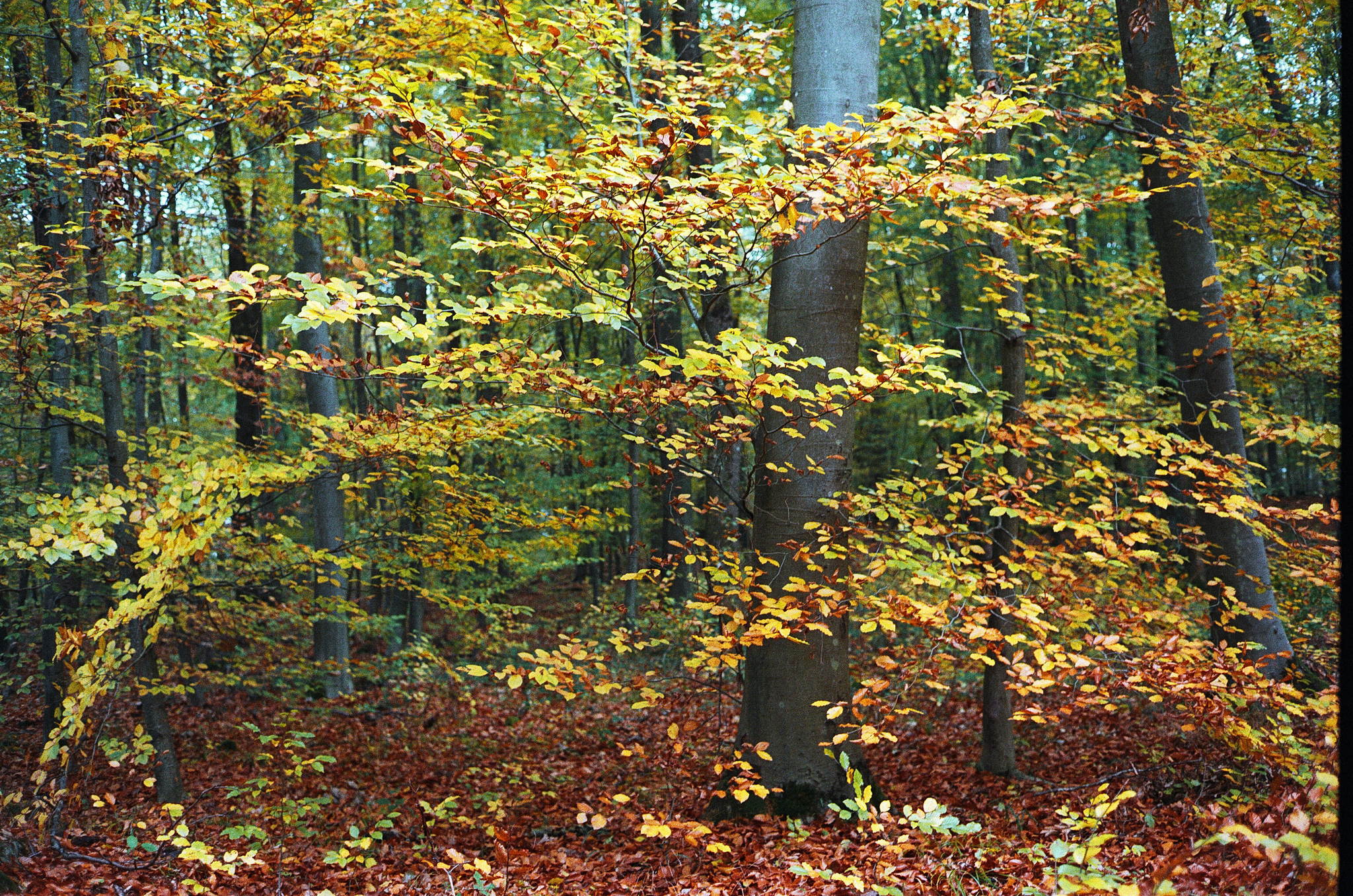 2018 11 02 cle vista 400 20 30759847967 o